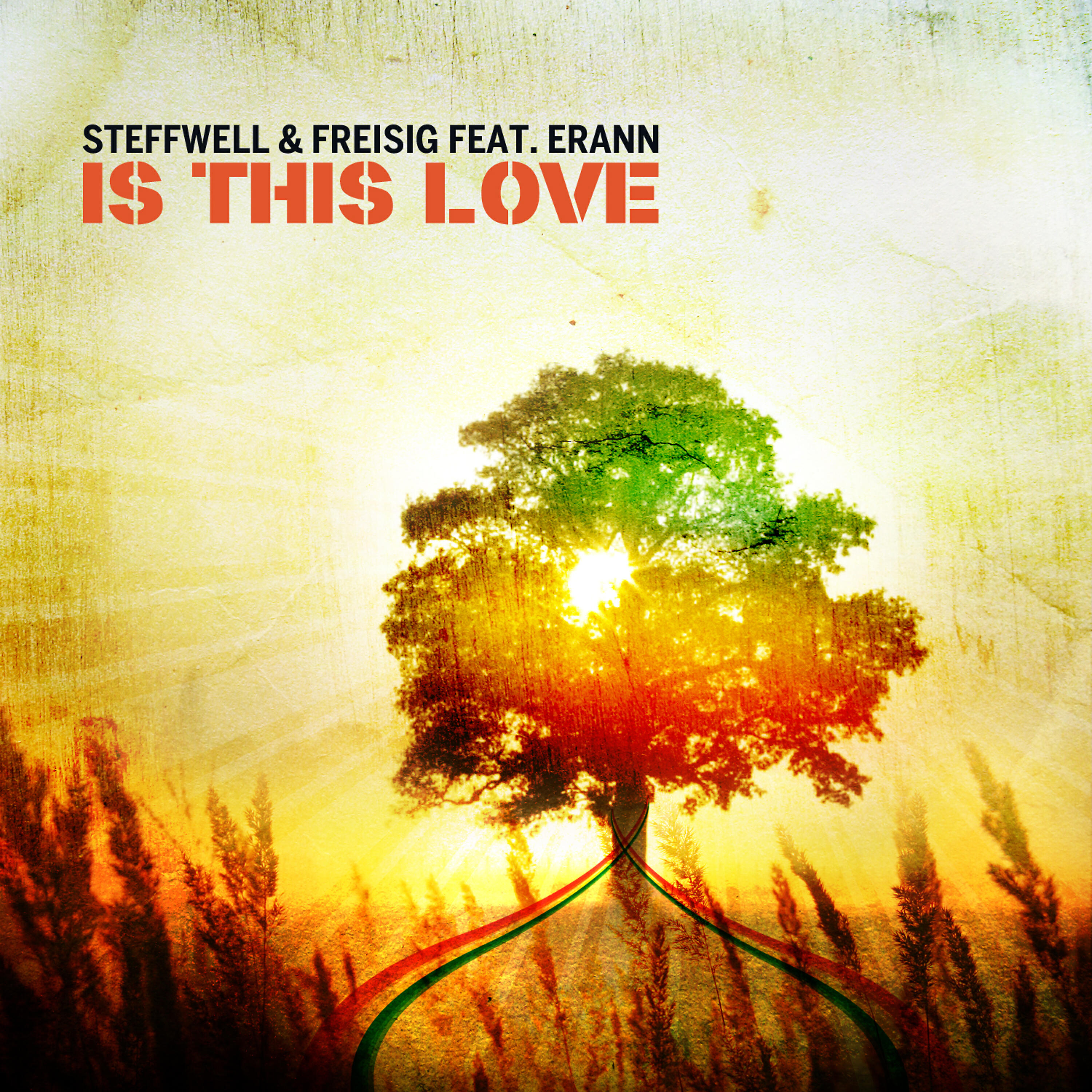 Steffwell - Is This Love (Anders K Remix)