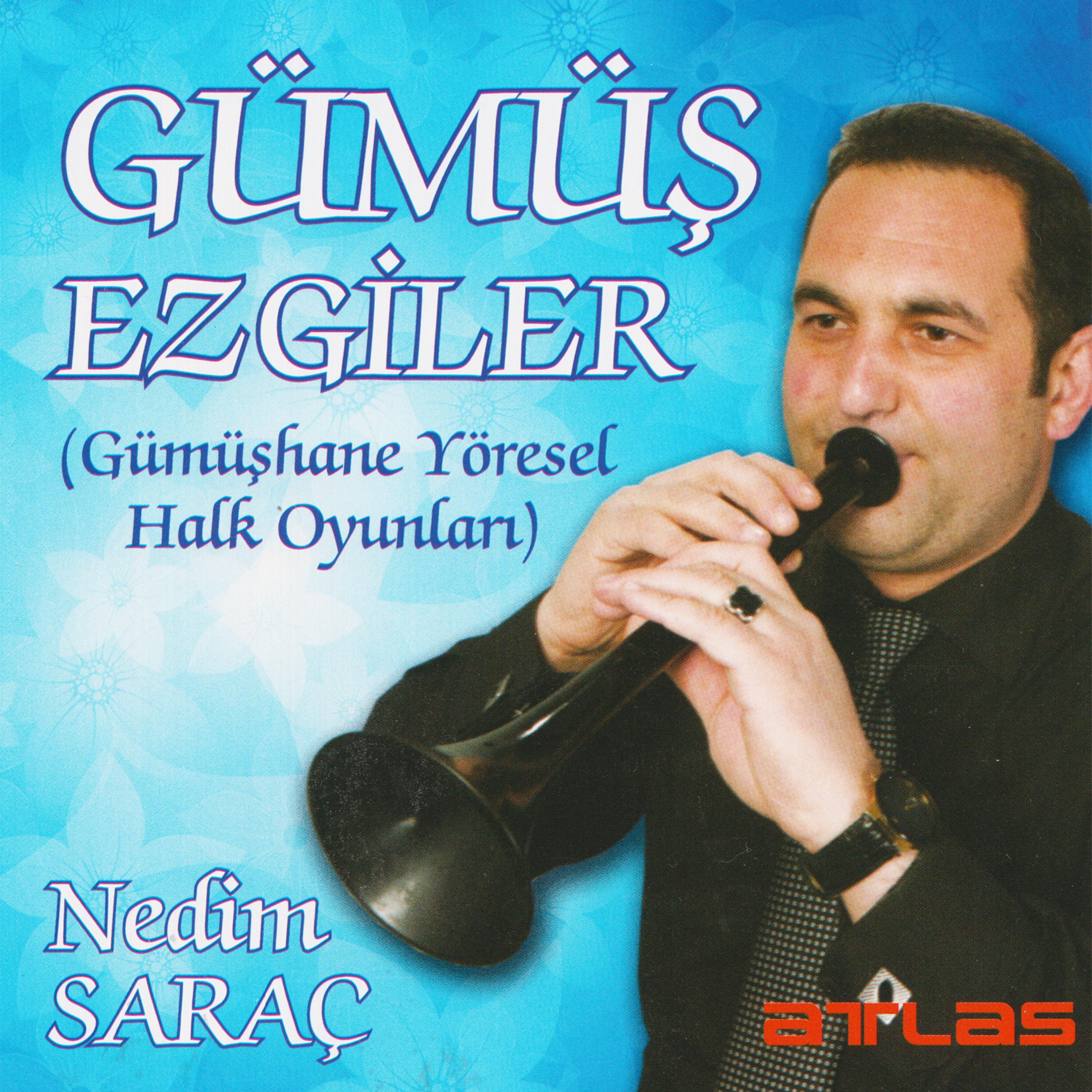 Постер альбома Gümüş Ezgiler