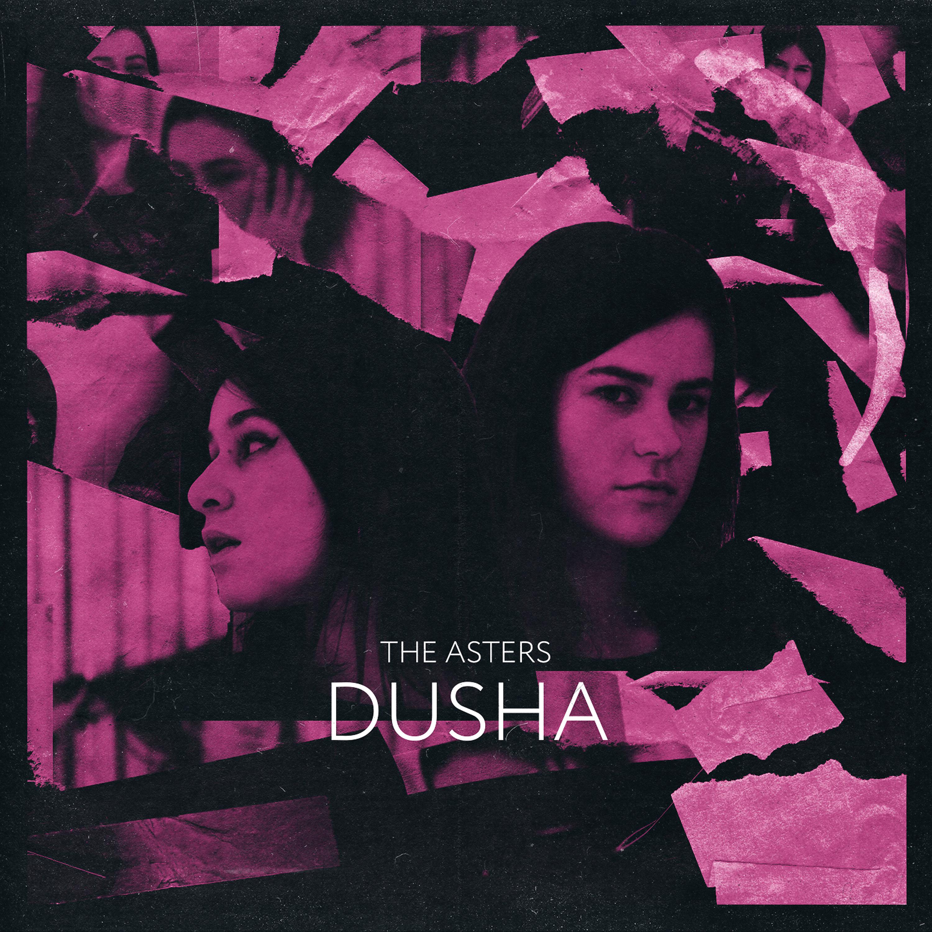 Постер альбома DUSHA (Prod. by chlorophyll)