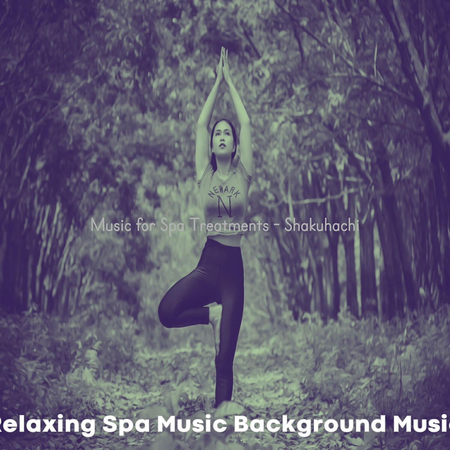 Relaxing Spa Music Background Music - Modern Guitar and Flute - Vibe for Spa Hours