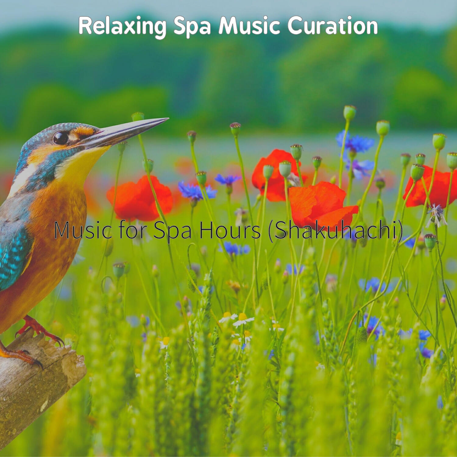 Relaxing Spa Music Curation - Playful Ambience for Spa Days