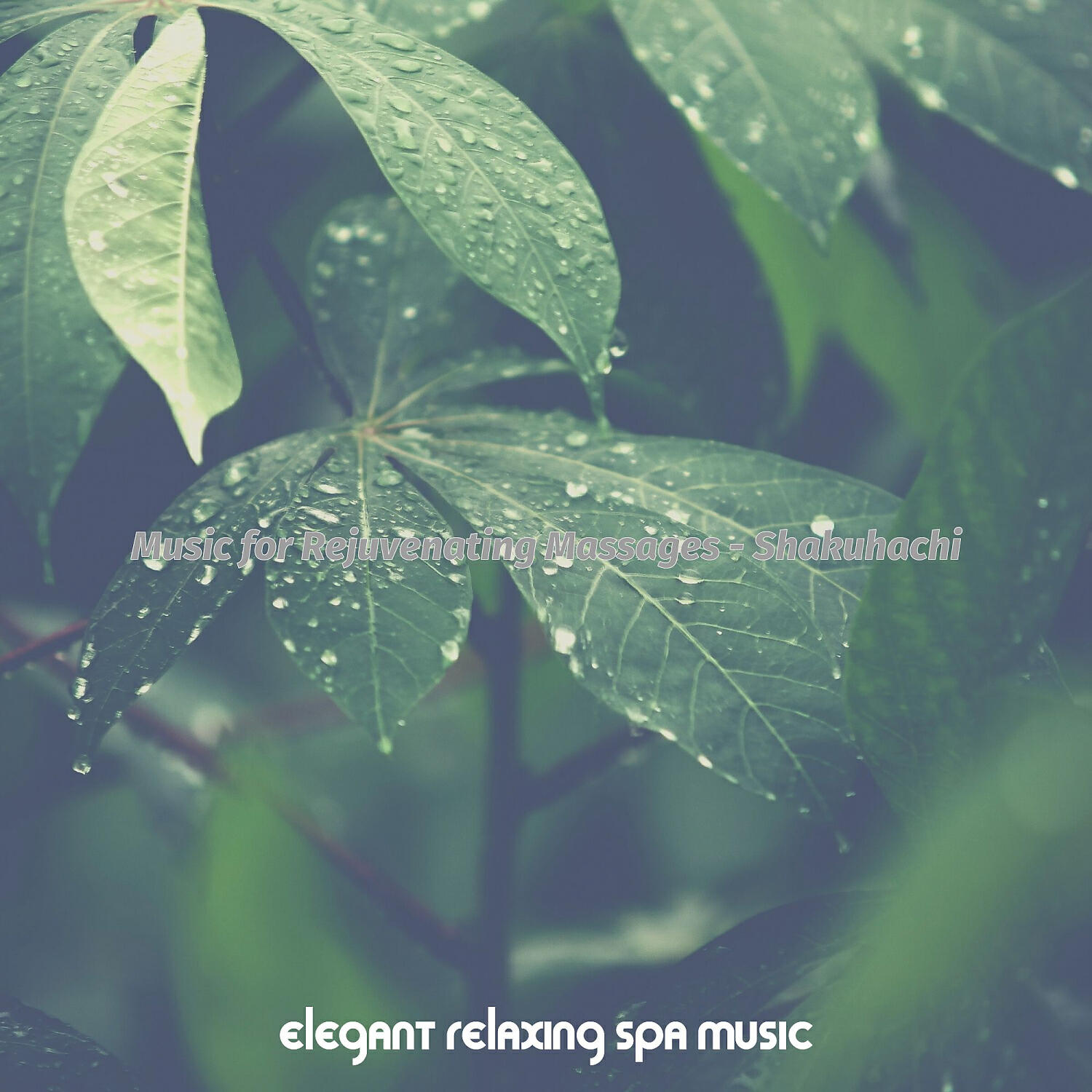 Elegant Relaxing Spa Music - Refined Guitar and Flute - Vibe for Rejuvenating Massages