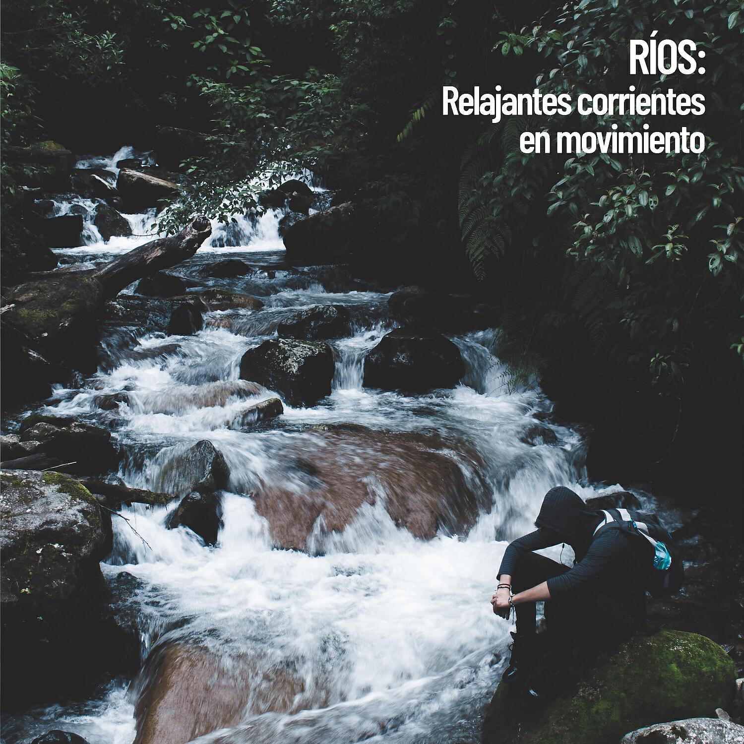 Water Science - Arroyo del bosque