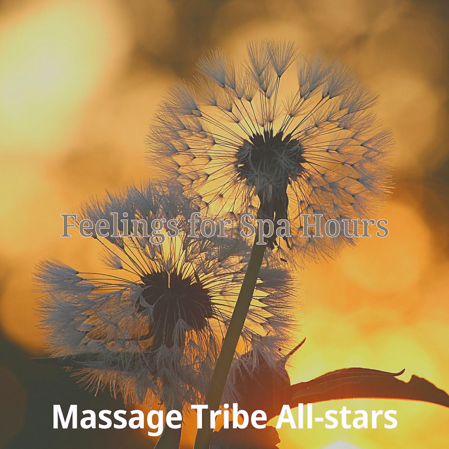 Massage Tribe All-stars - Outstanding Moods for Aroma Massage