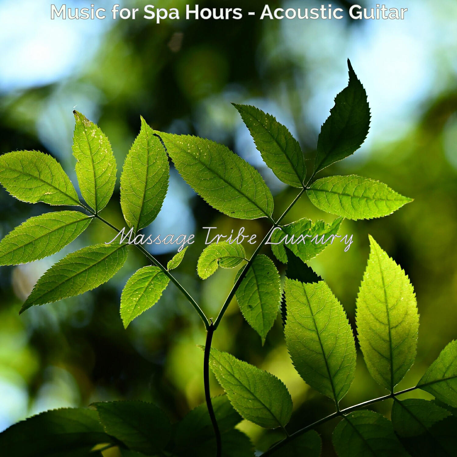 Massage Tribe Luxury - Sensational Backdrops for Facial Treatments