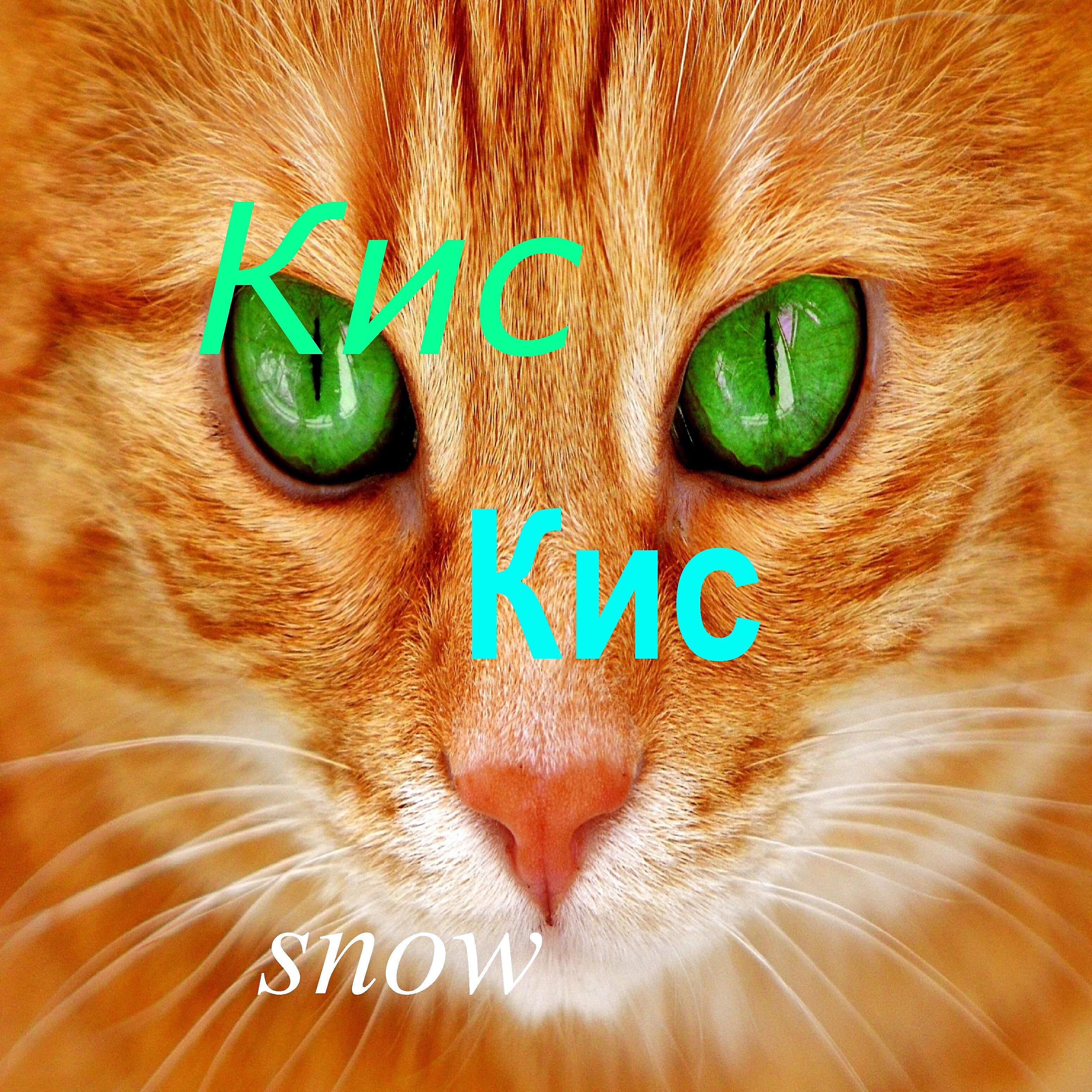 Snow - Кис кис