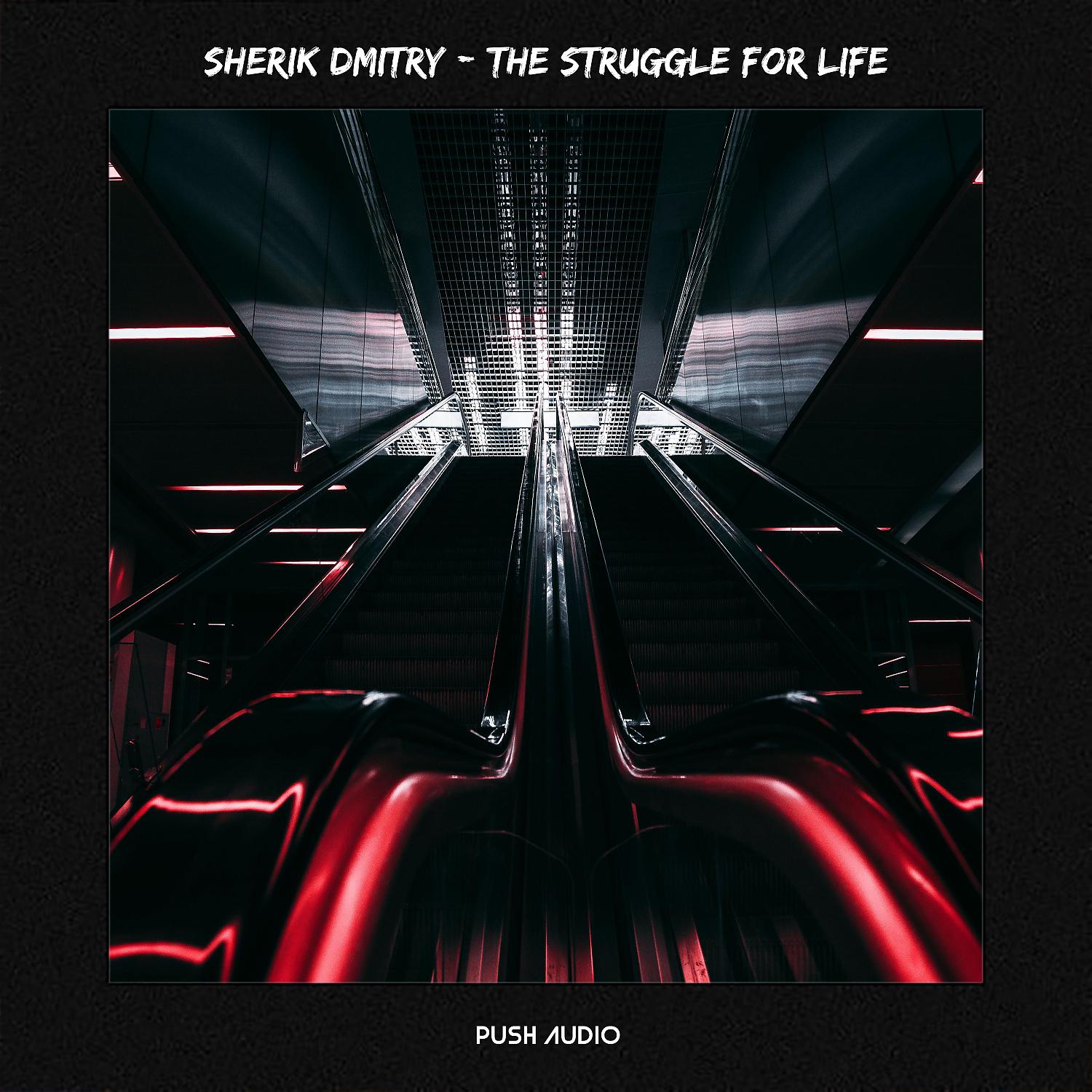 Постер альбома The Struggle For Life