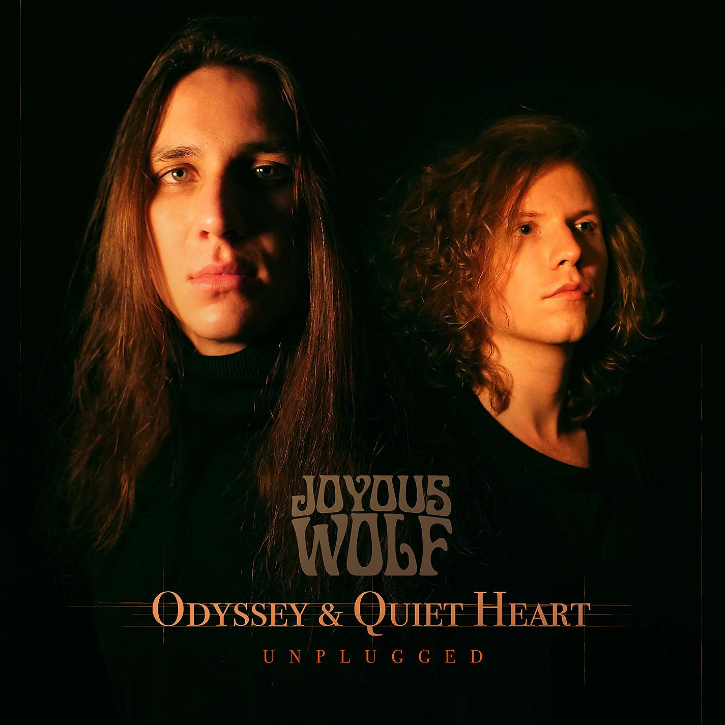 Постер альбома Odyssey & Quiet Heart Live Unplugged