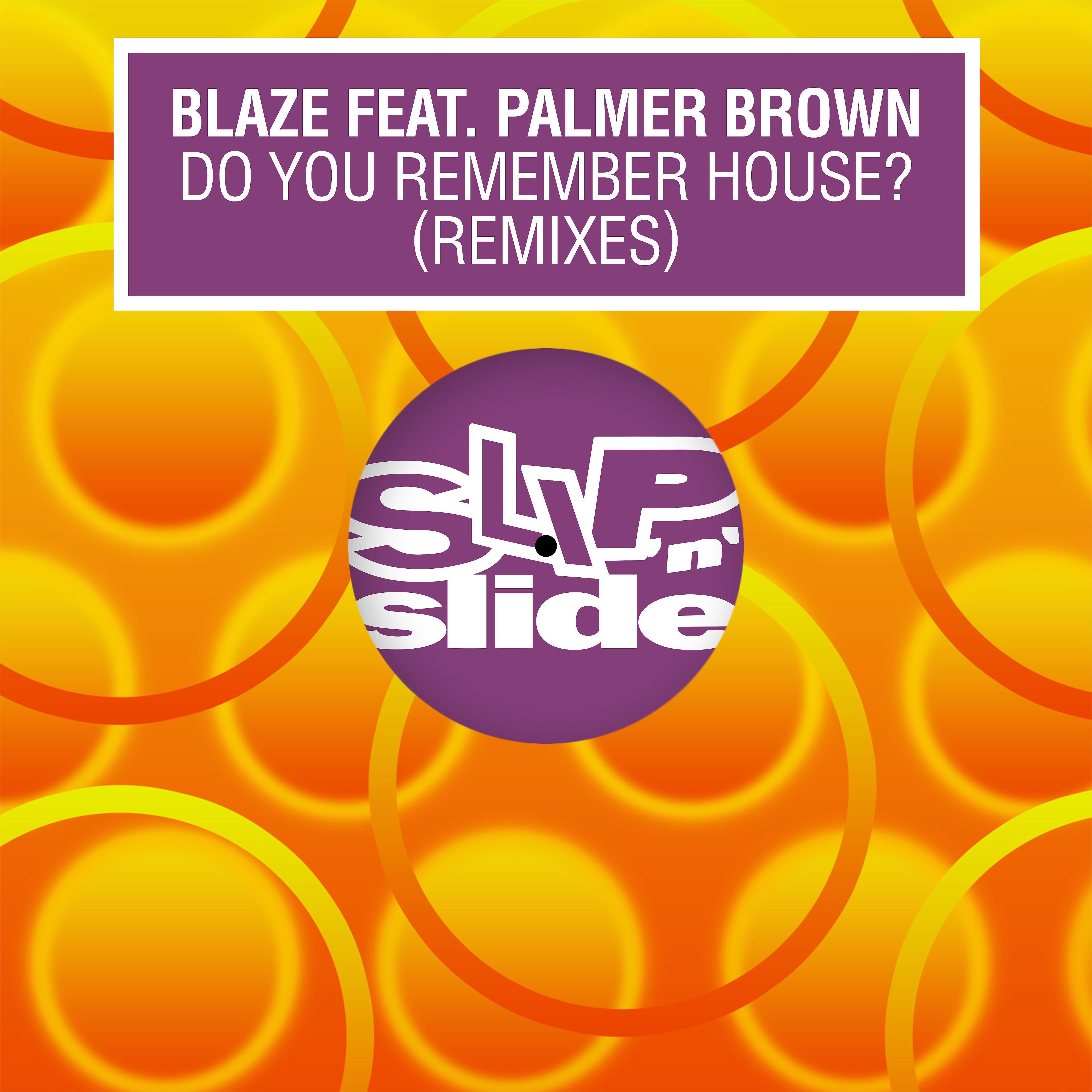 Постер альбома Do You Remember House? (feat. Palmer Brown) [Remixes]