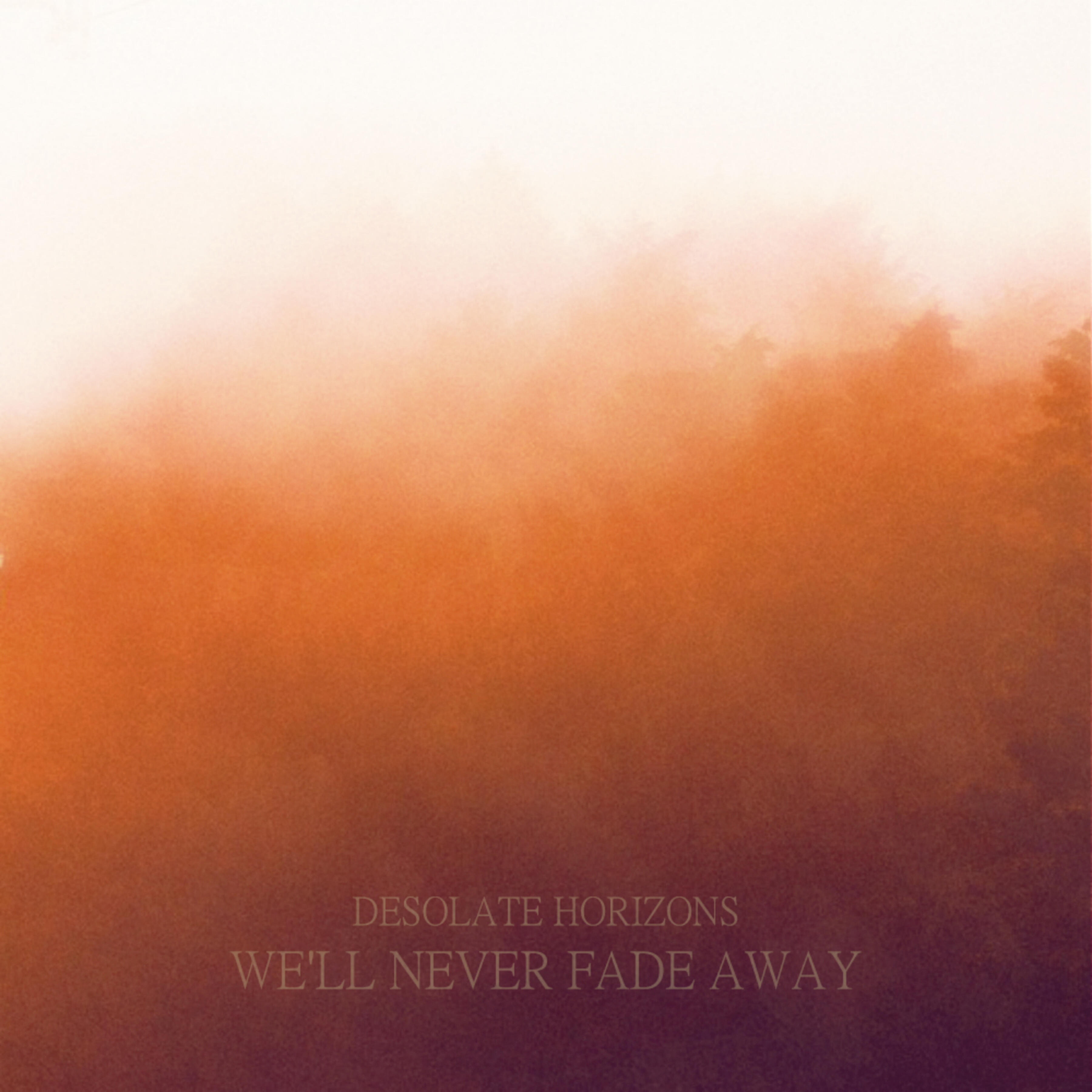 Desolate Horizons - As Long As There's a Light in the Sky, I'll Be Waiting for You