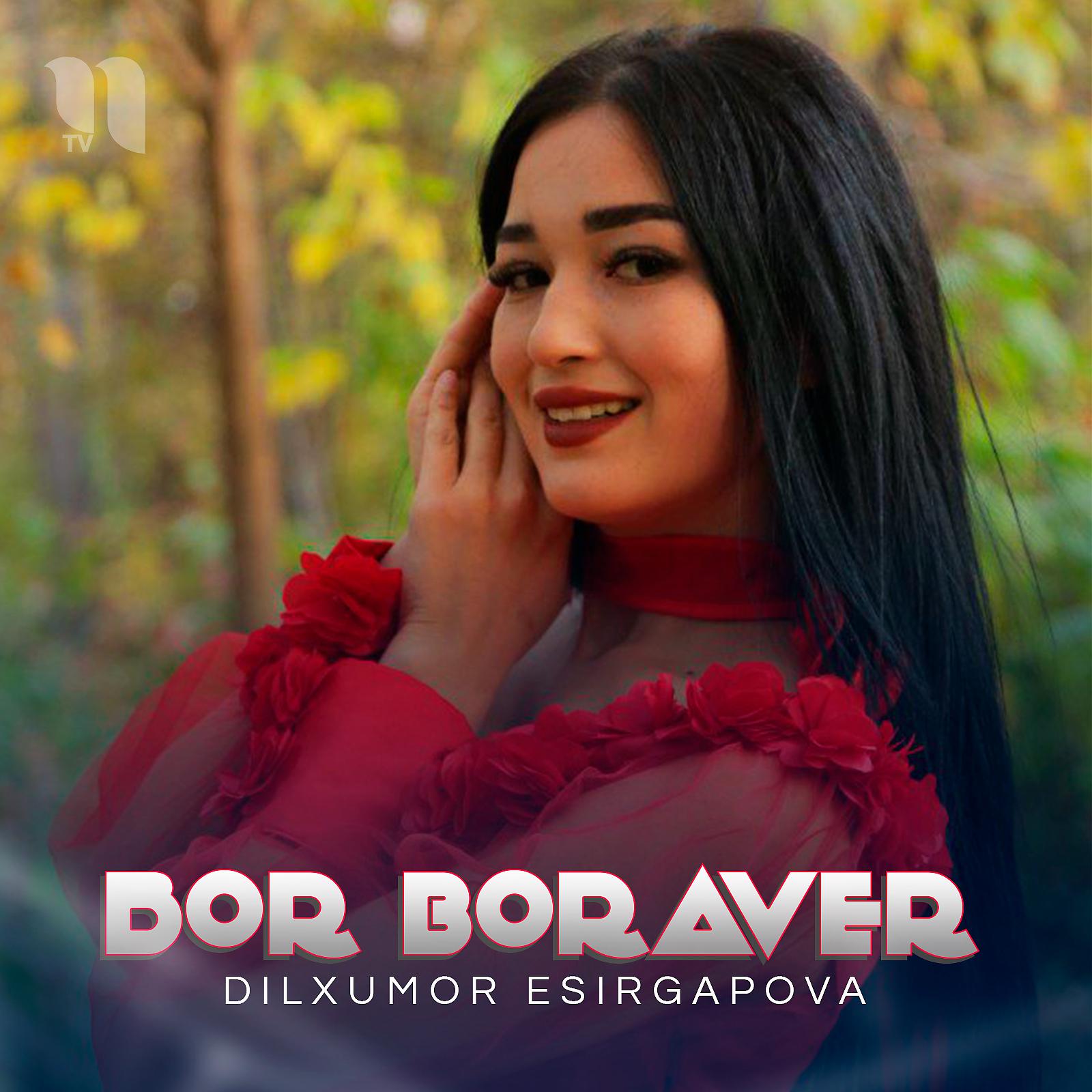 Постер альбома Bor Boraver