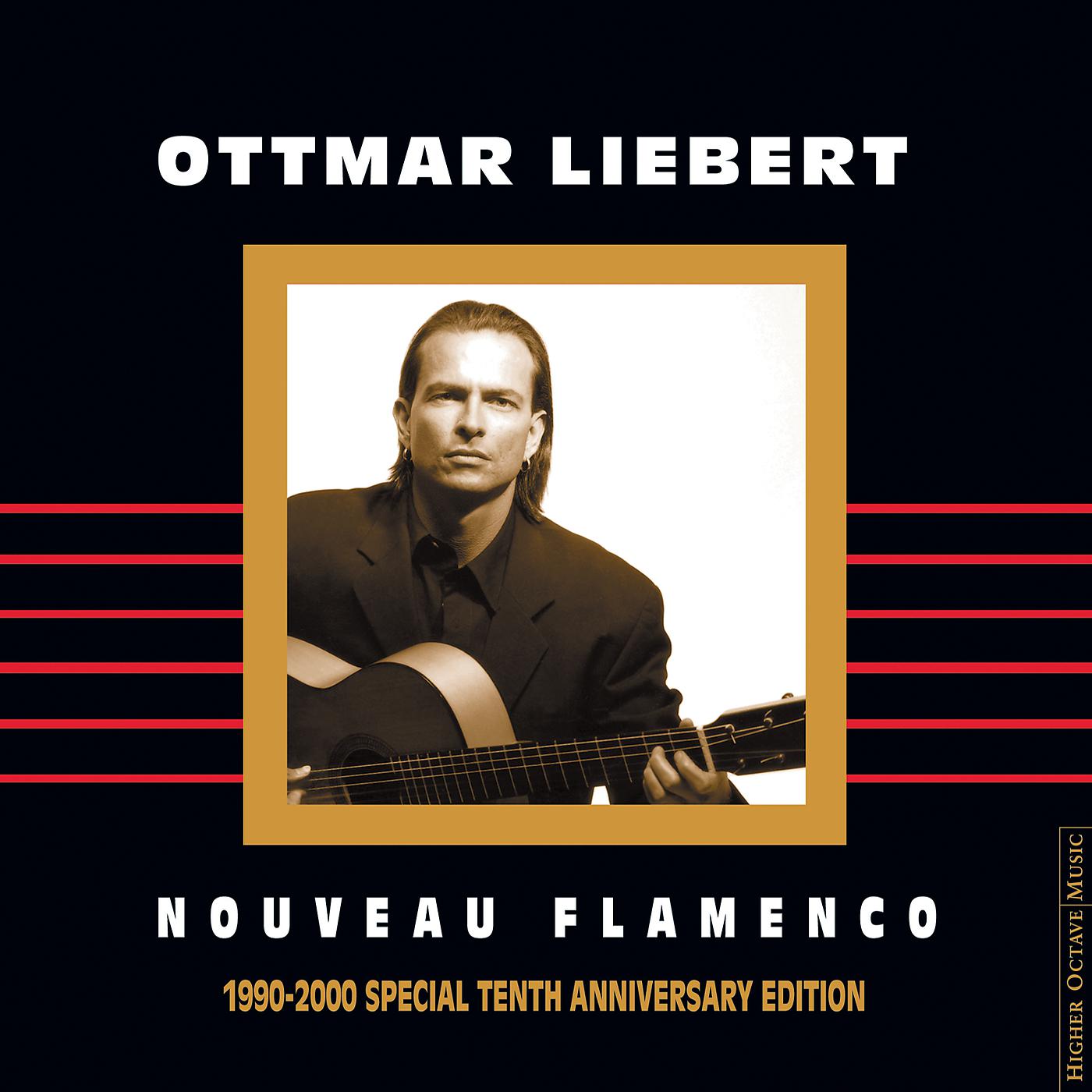 Постер альбома Nouveau Flamenco