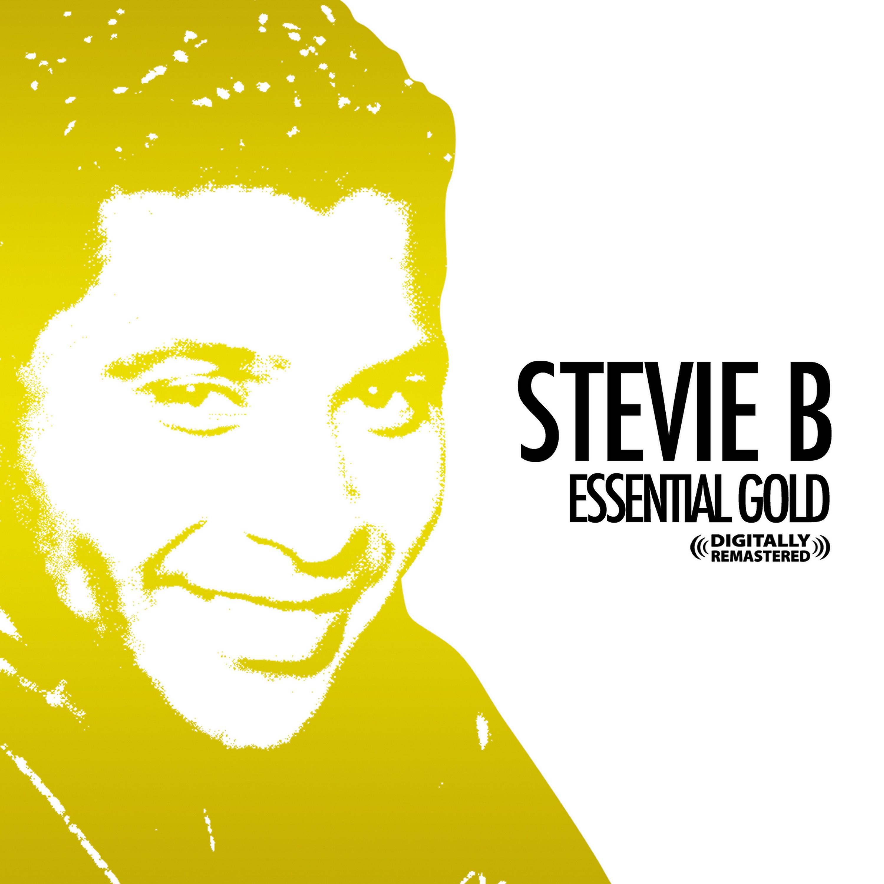 Stevie B - Because I Love You (The Postman Song) (Rerecorded)