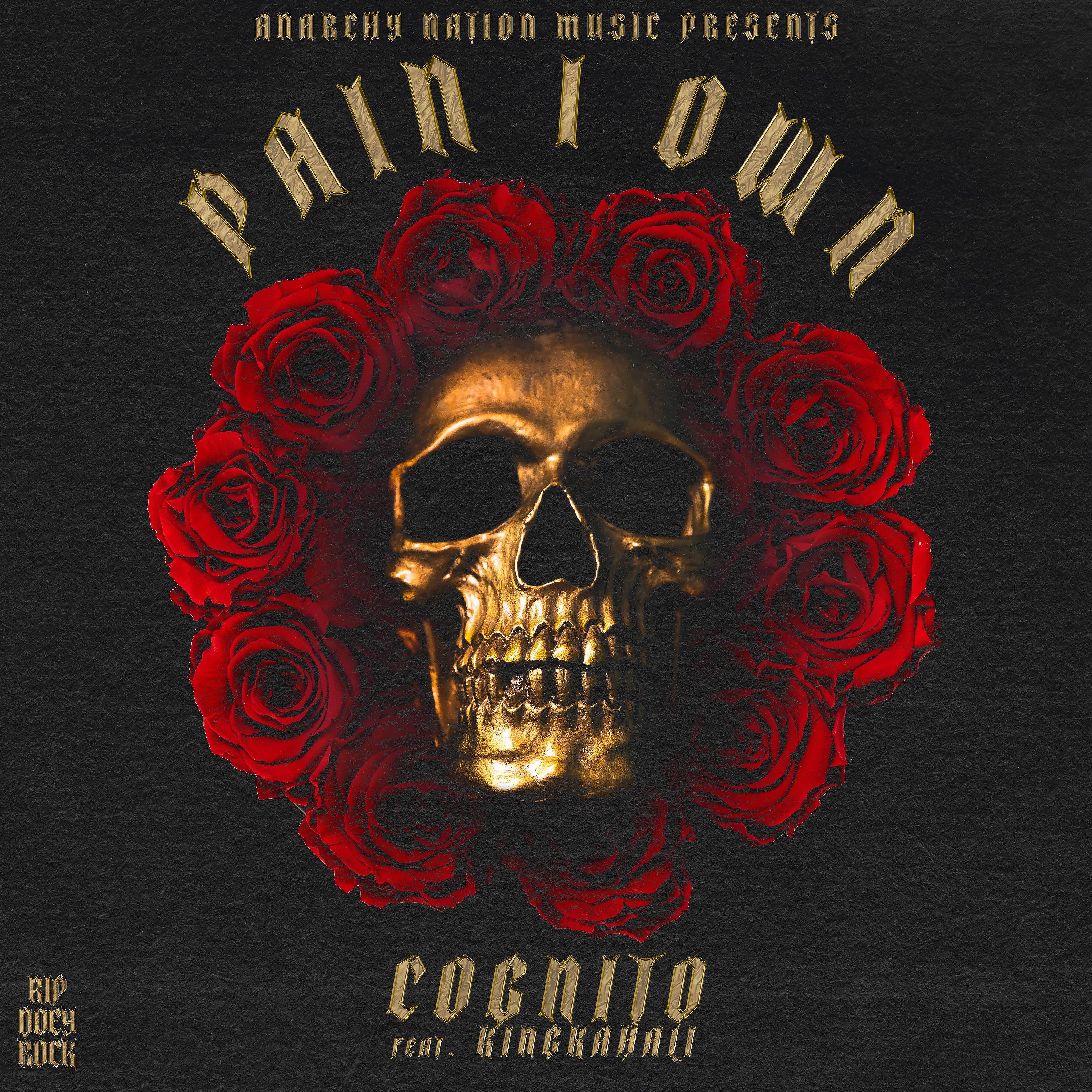Постер альбома Pain I Own