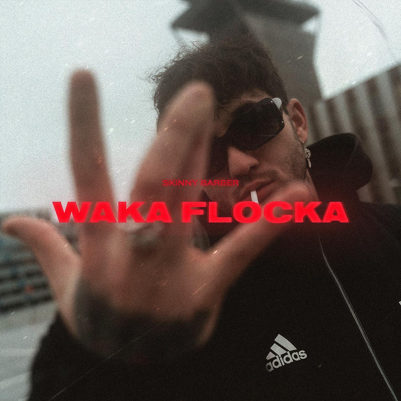 Постер альбома Waka Flocka