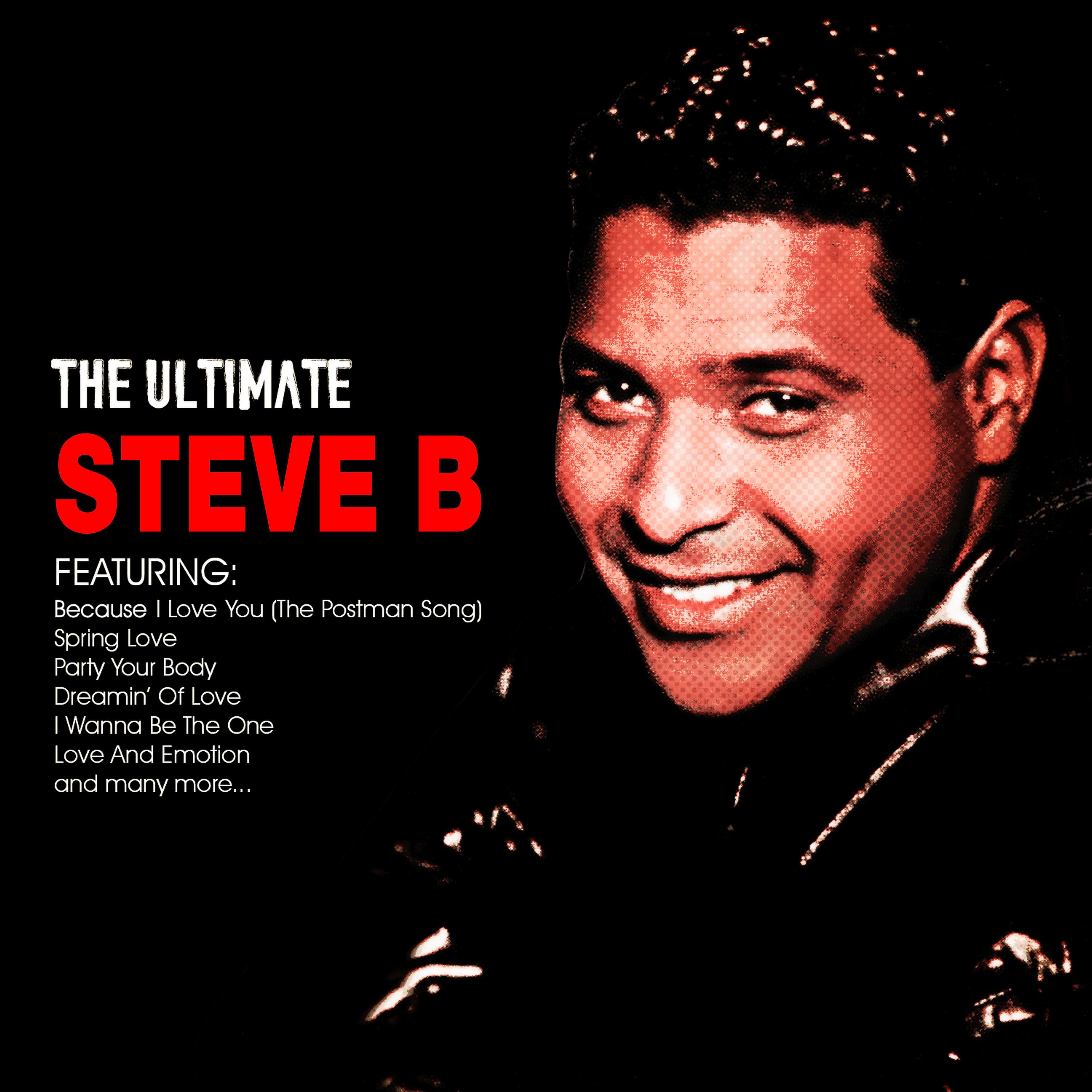 Постер альбома The Ultimate Stevie B