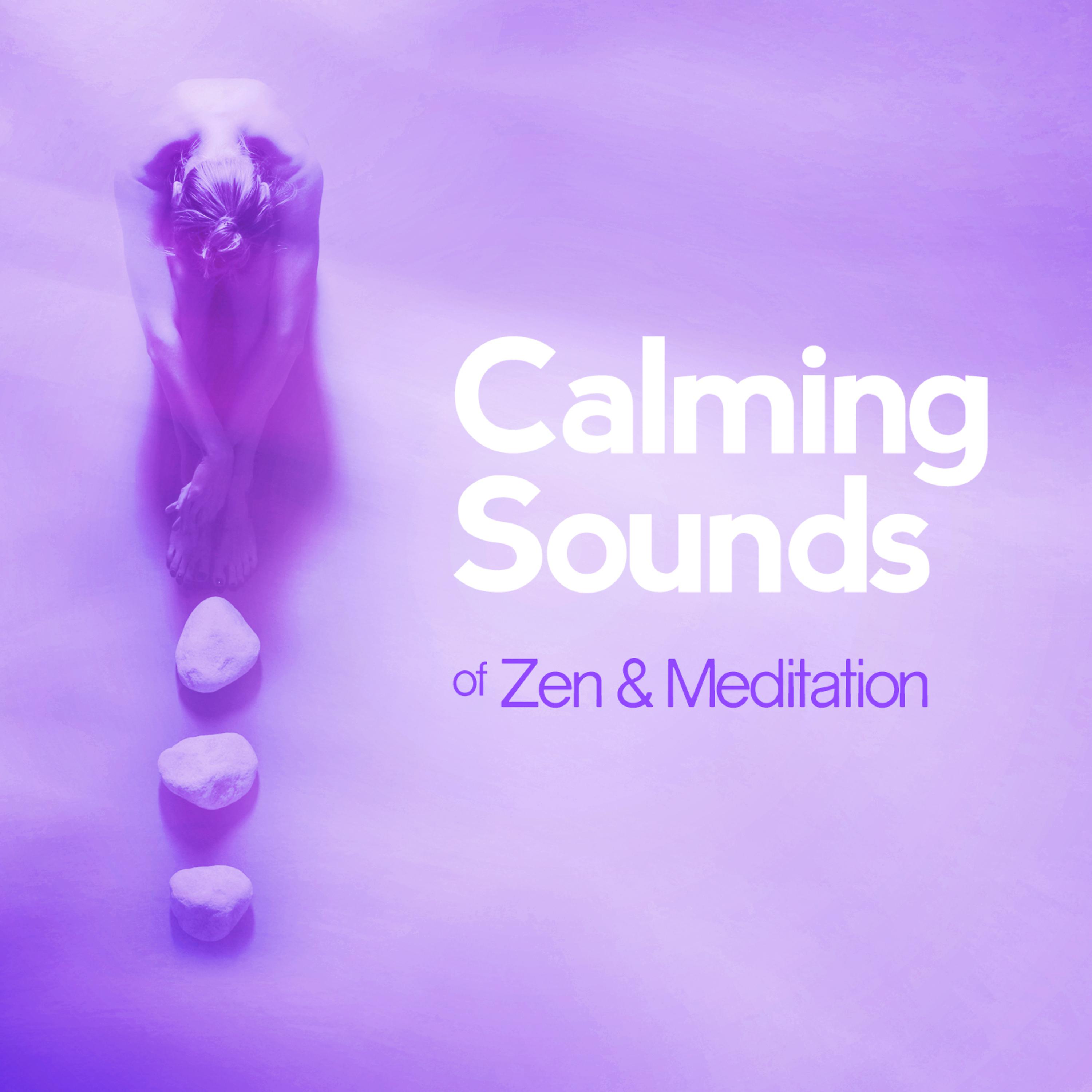 Постер альбома Calming Sounds of Zen & Meditation