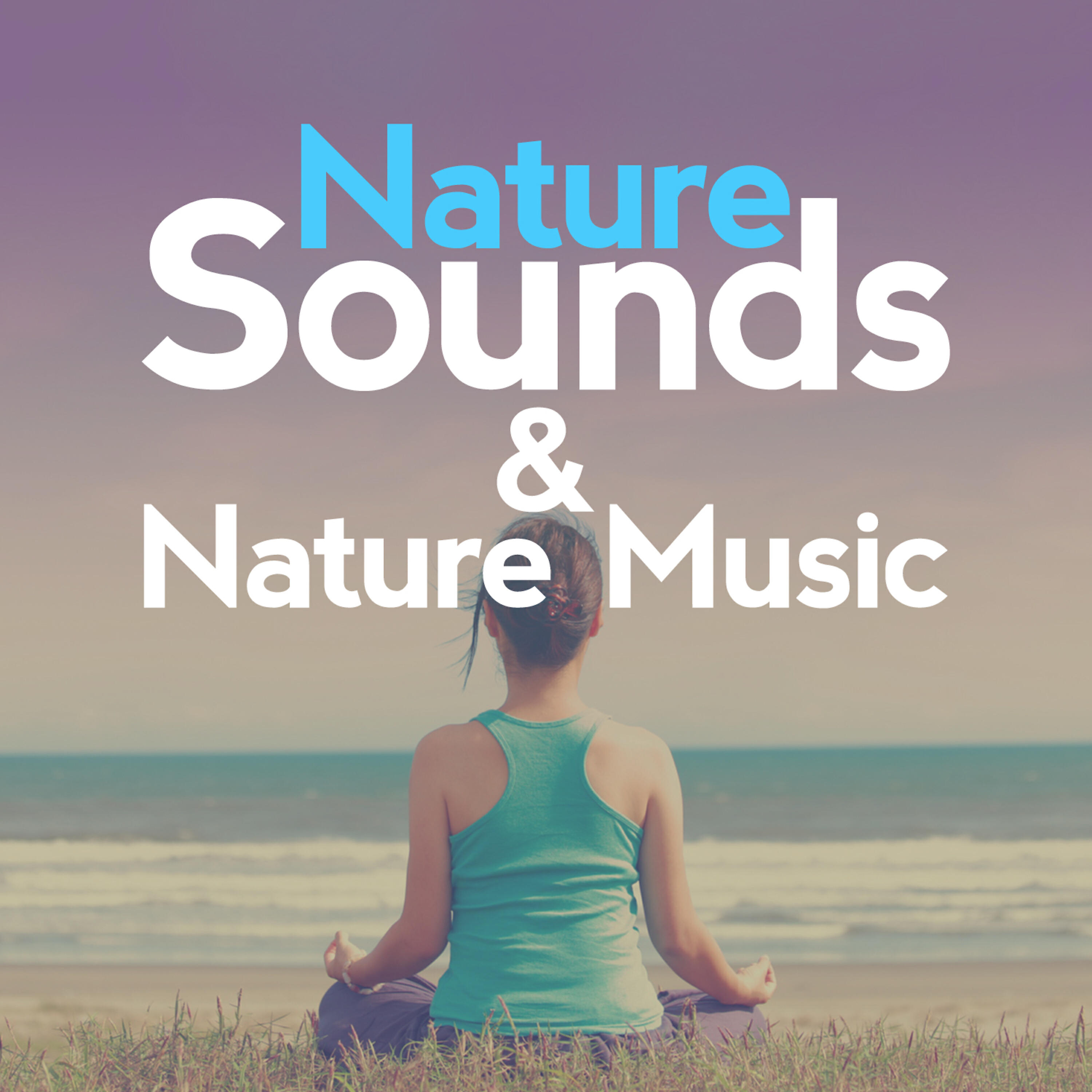 Nature Sounds Nature Music - Forest Waterway
