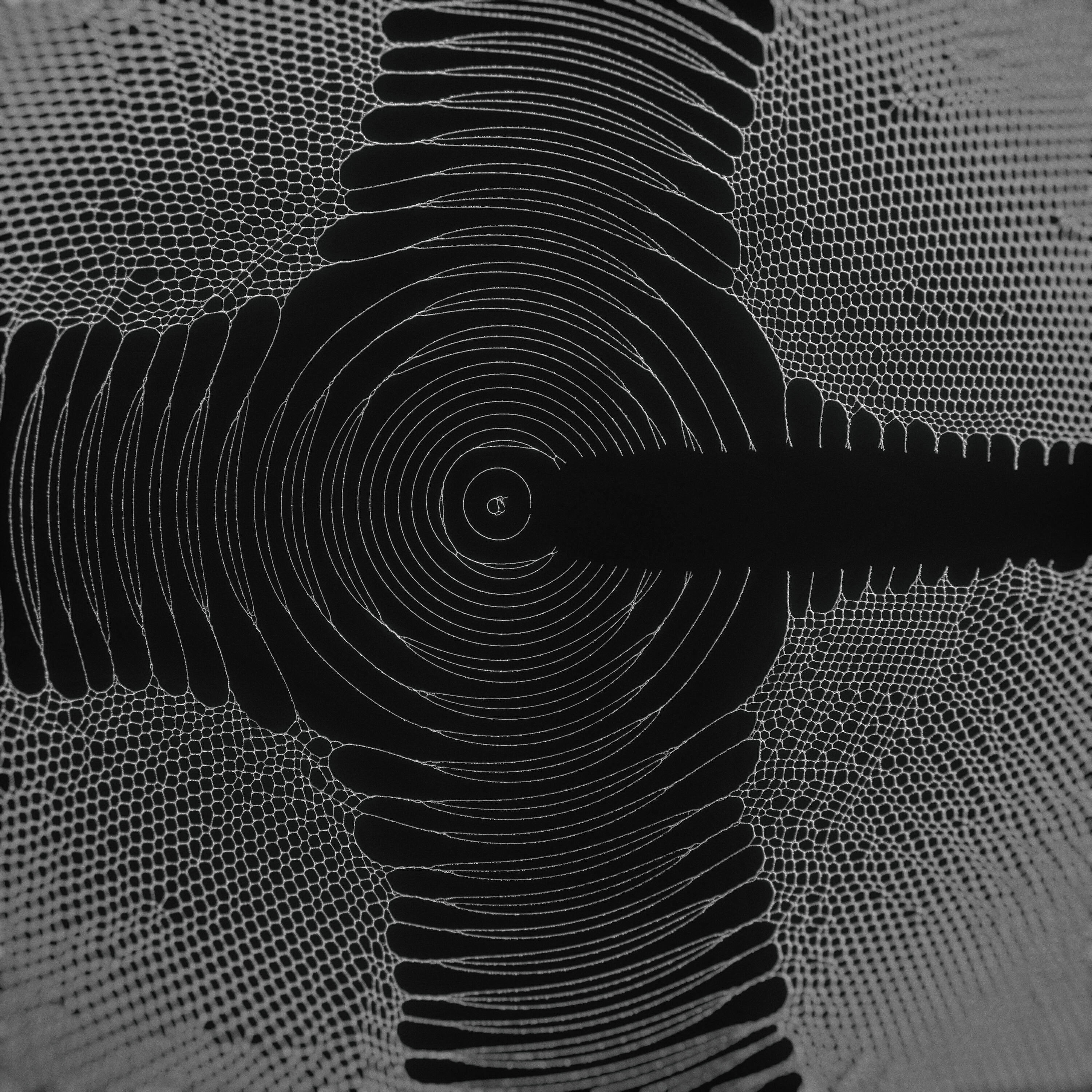 The Kite String Tangle - 1.618