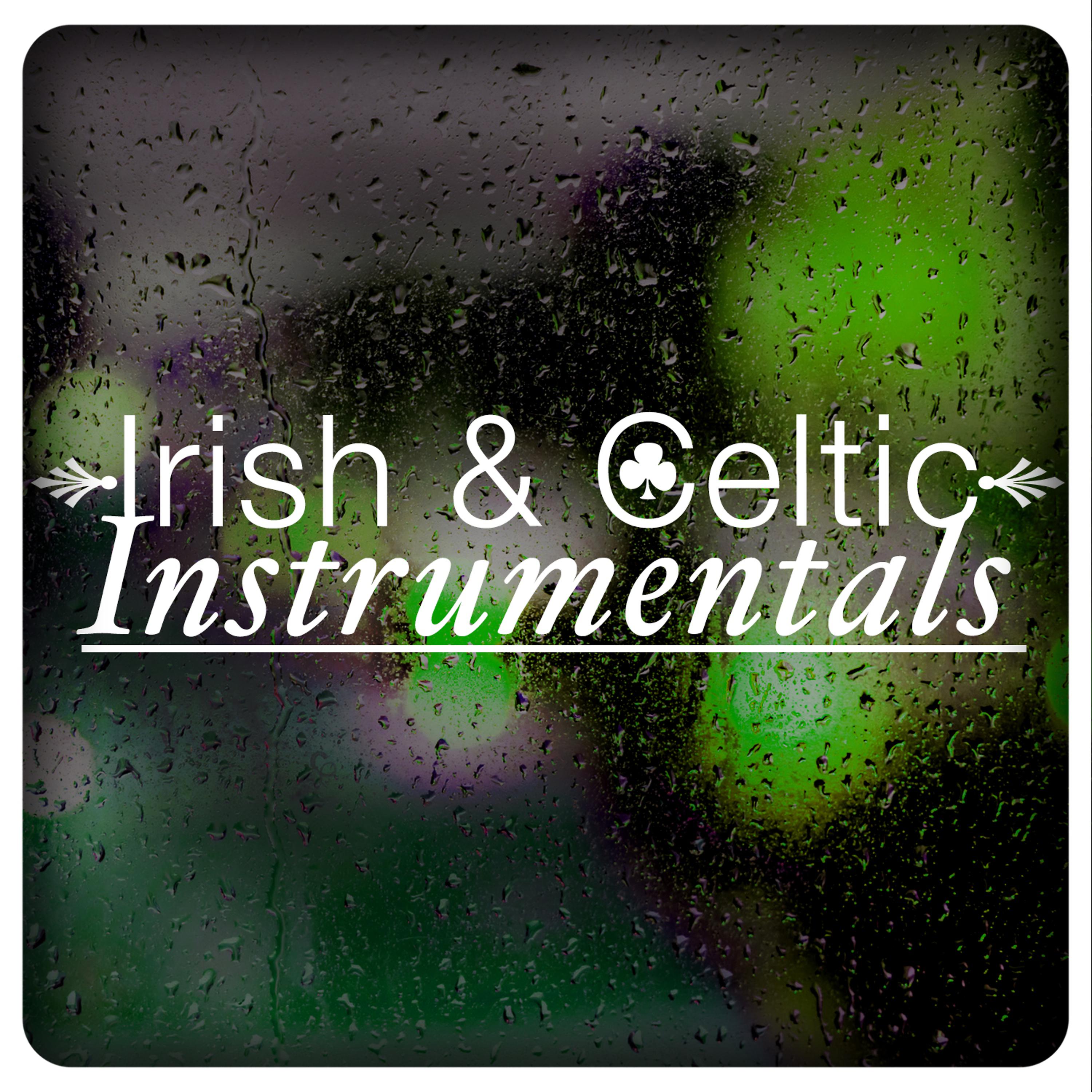Постер альбома Irish & Celtic Instrumentals