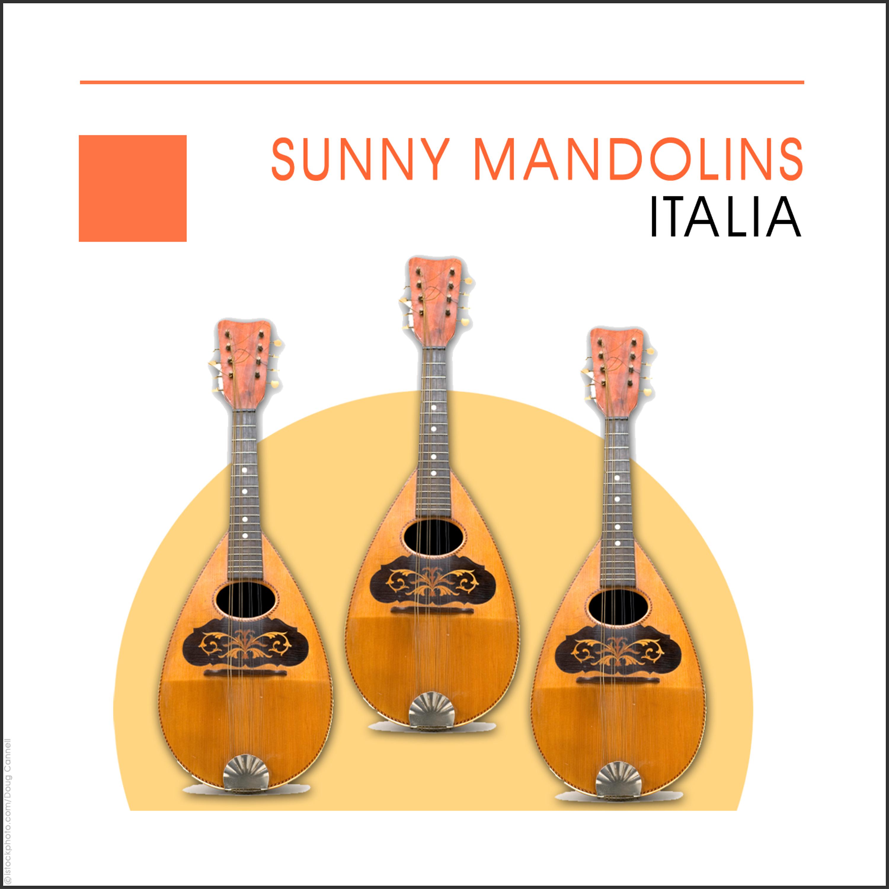 Постер альбома Sunny Mandolins - Italia - Italy