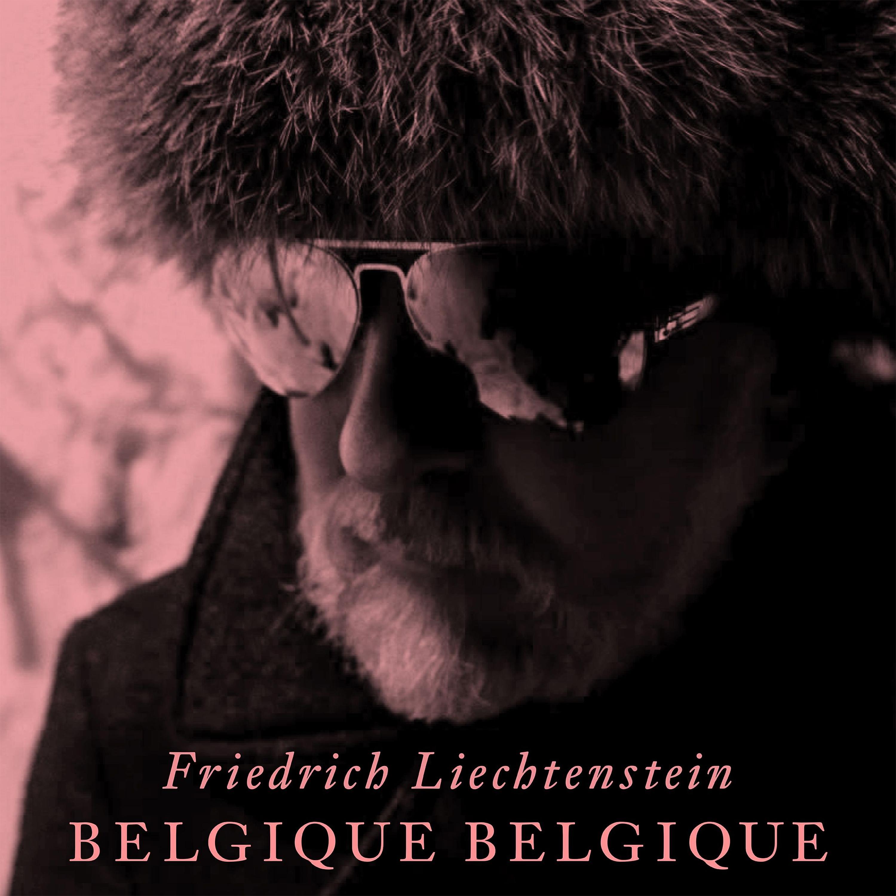 Постер альбома Belgique, Belgique
