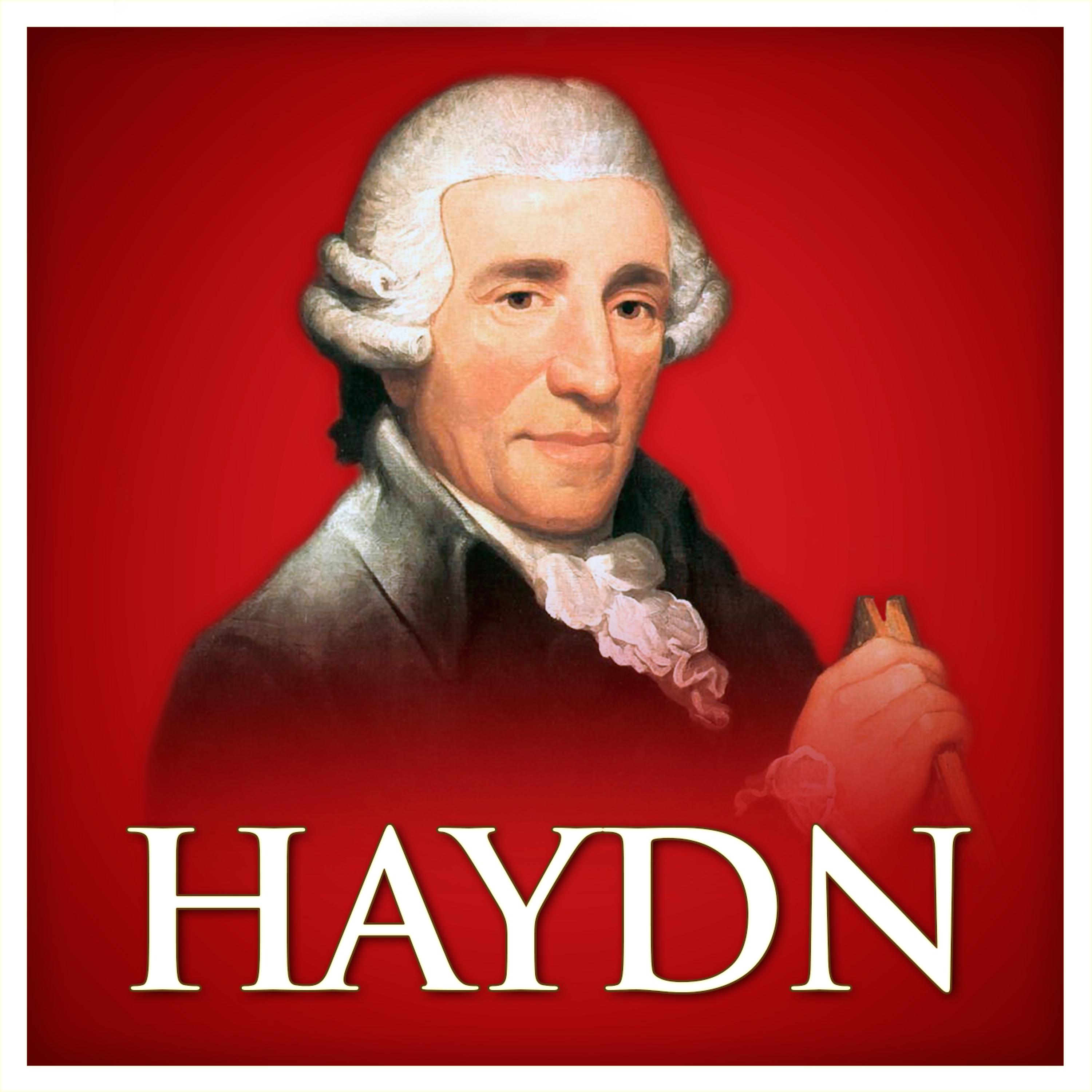 Постер альбома Haydn