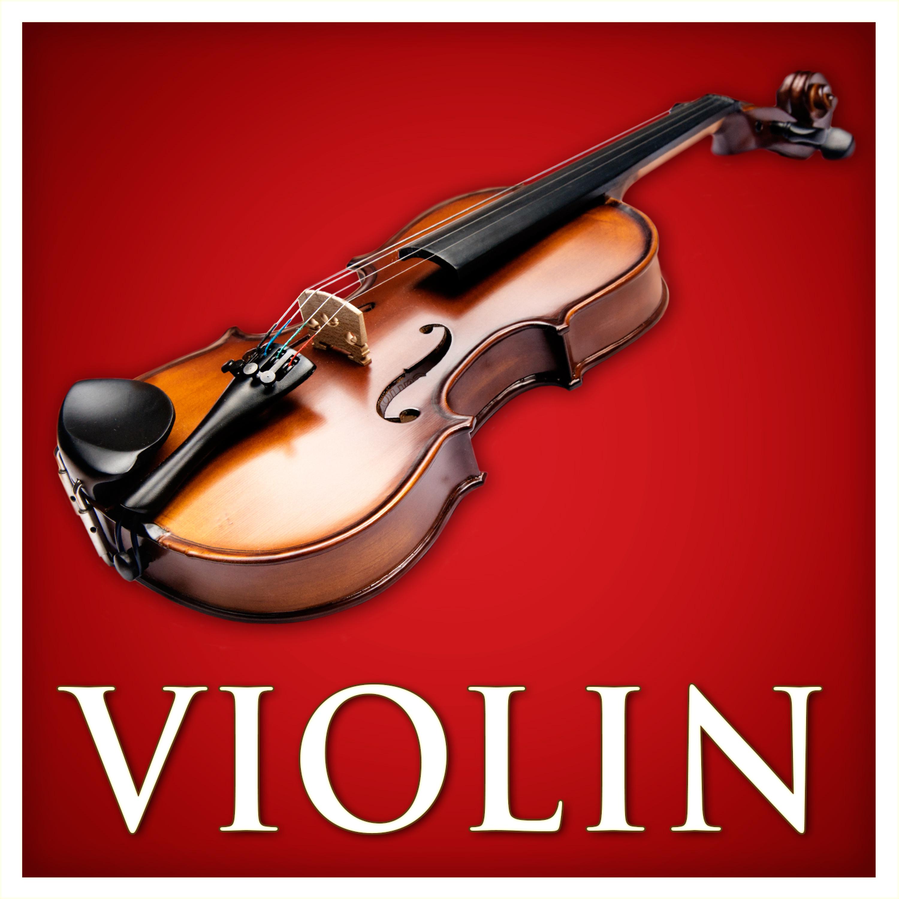 Постер альбома Violin (Red Classics)