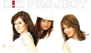 Liz project disiber