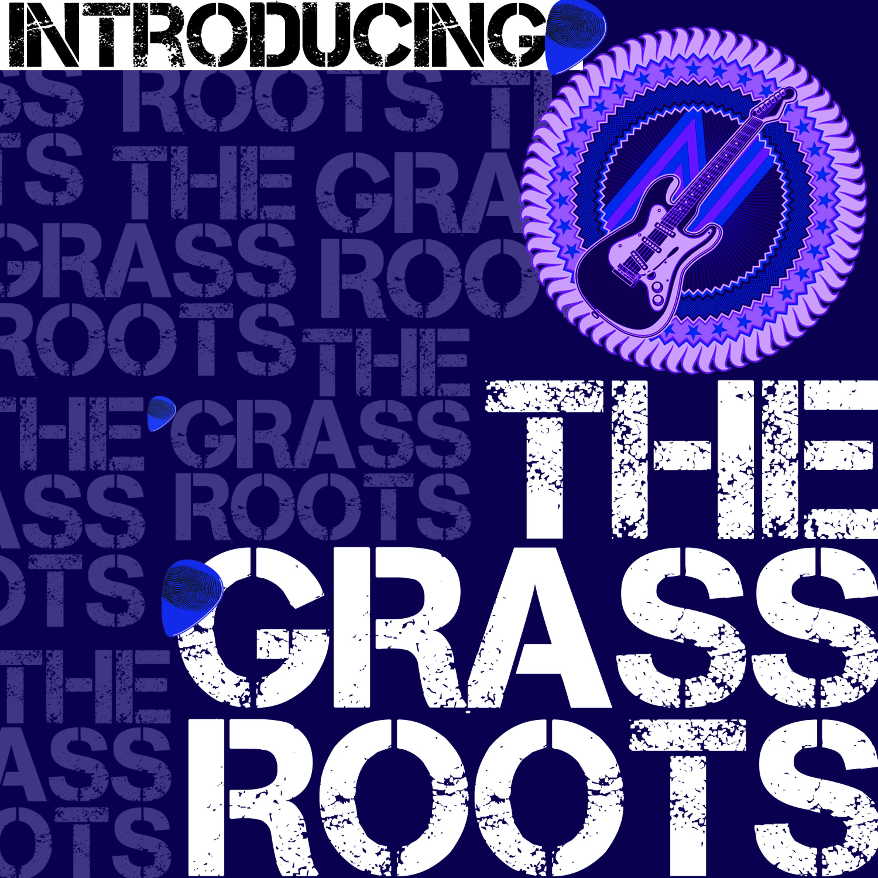 Постер альбома Introducing the Grass Roots