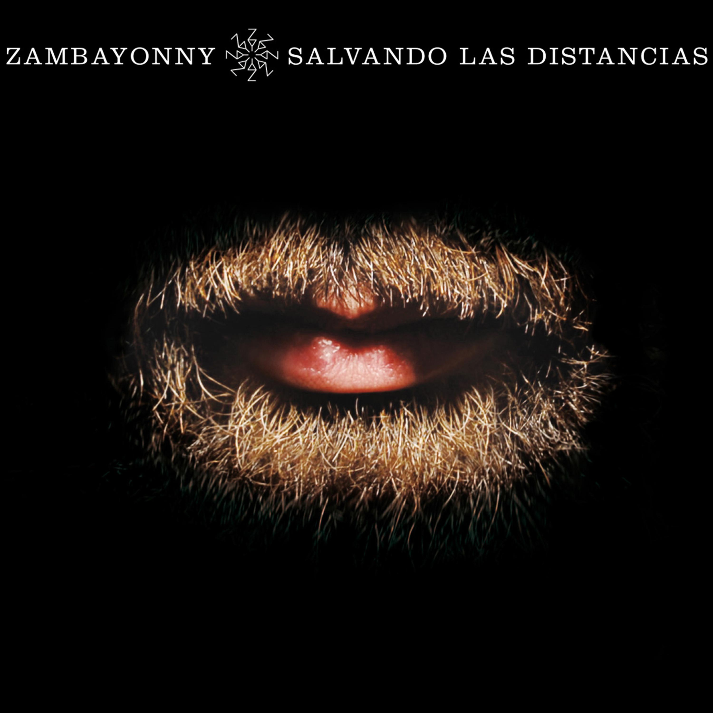Постер альбома Salvando las Distancias