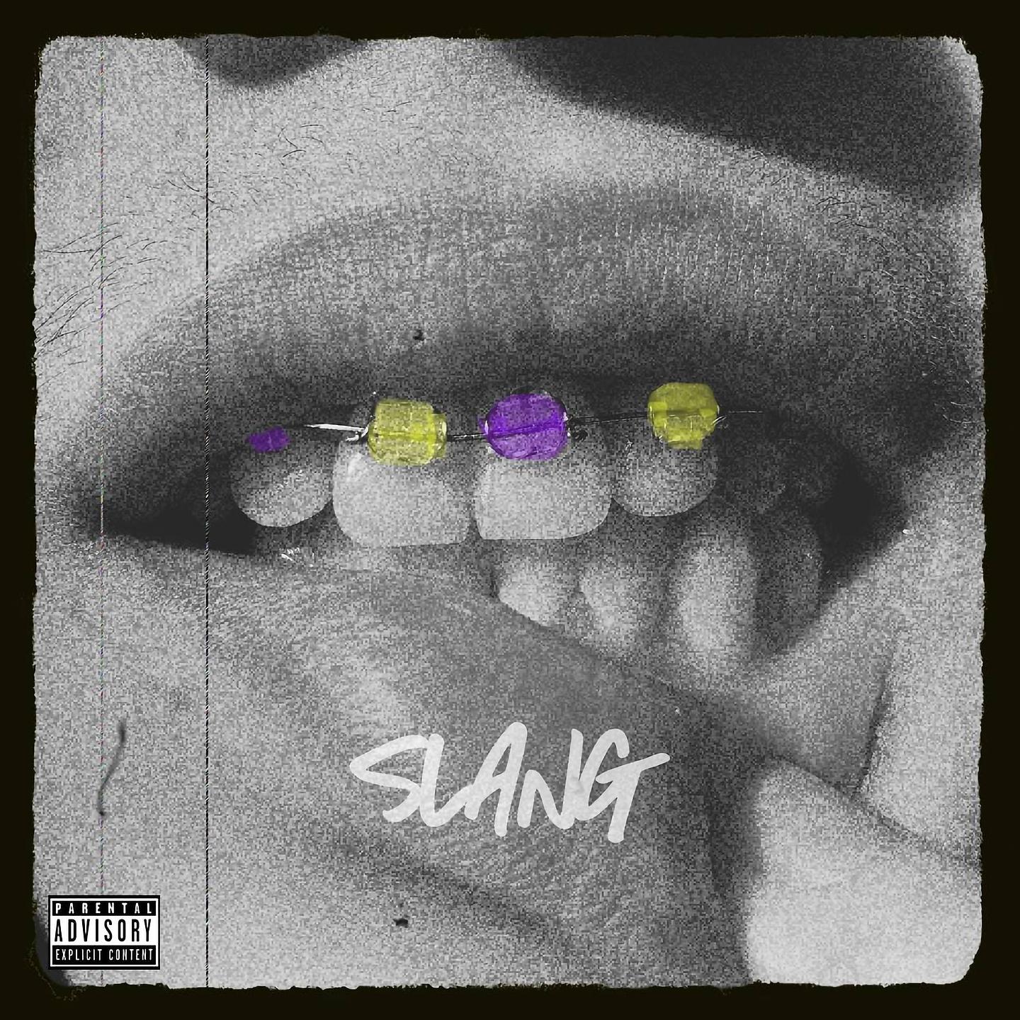 Постер альбома Slang