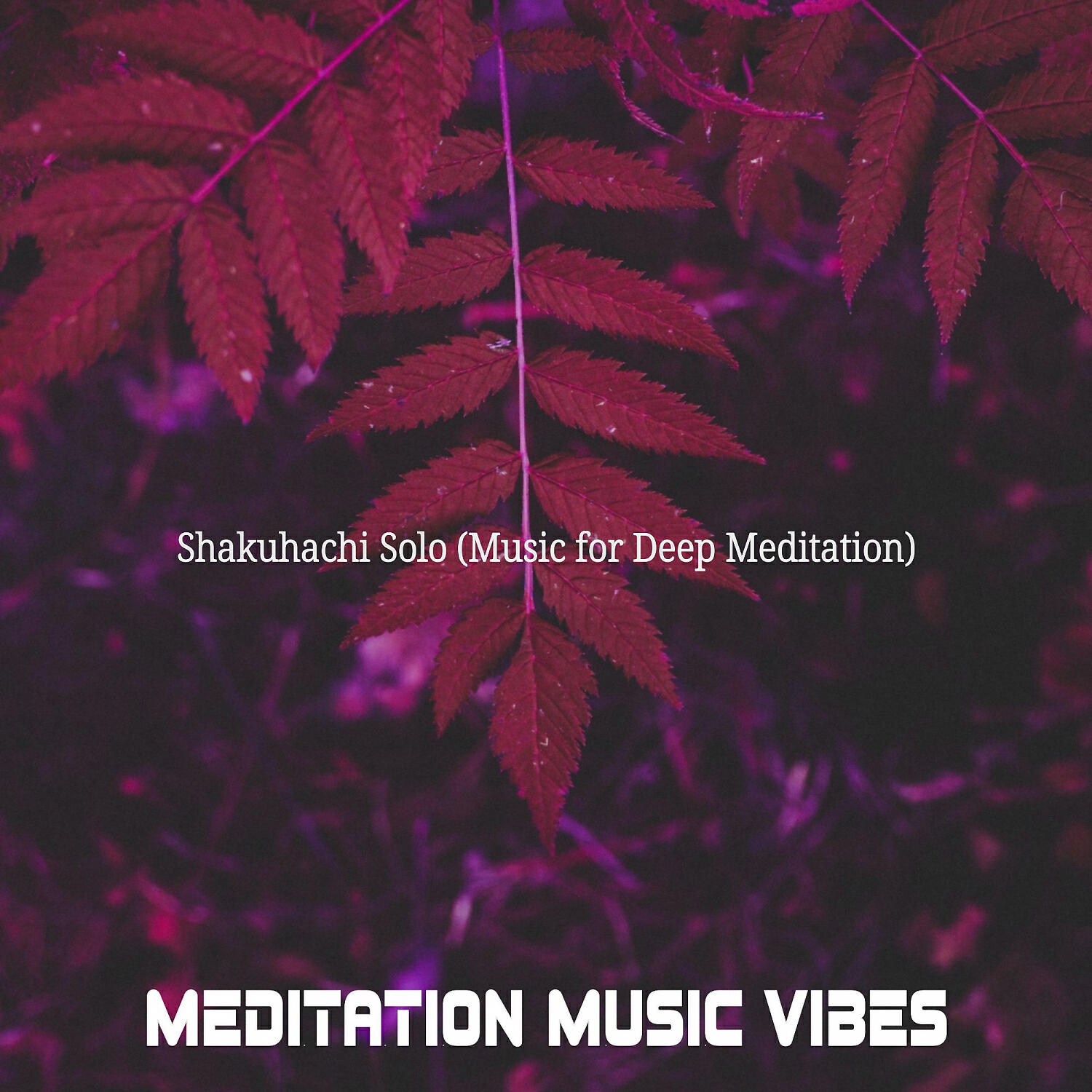 Meditation Music Vibes - Sensational Shakuhachi and Harps - Vibe for Meditation Therapy