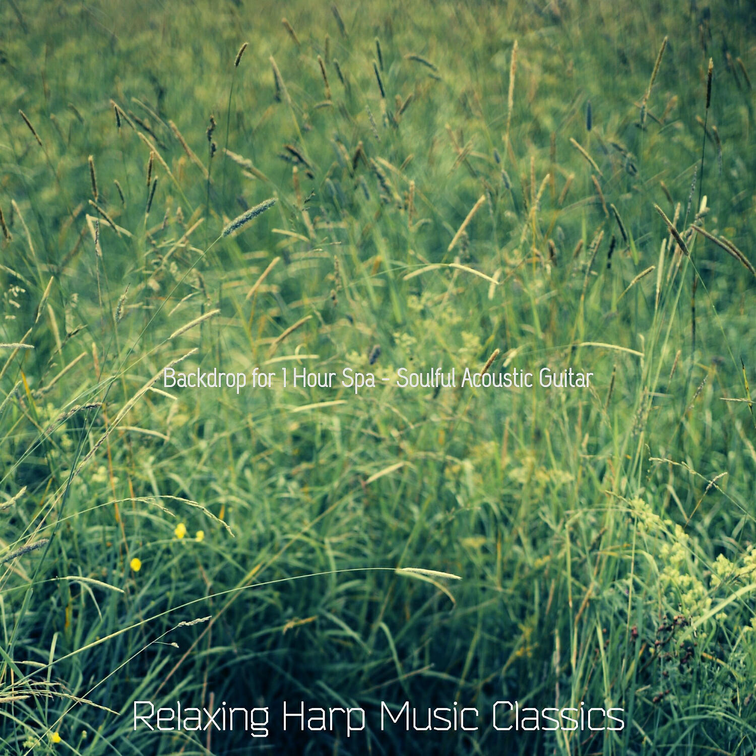 Relaxing Harp Music Classics - Sensational Moods for 2 Hour Spa