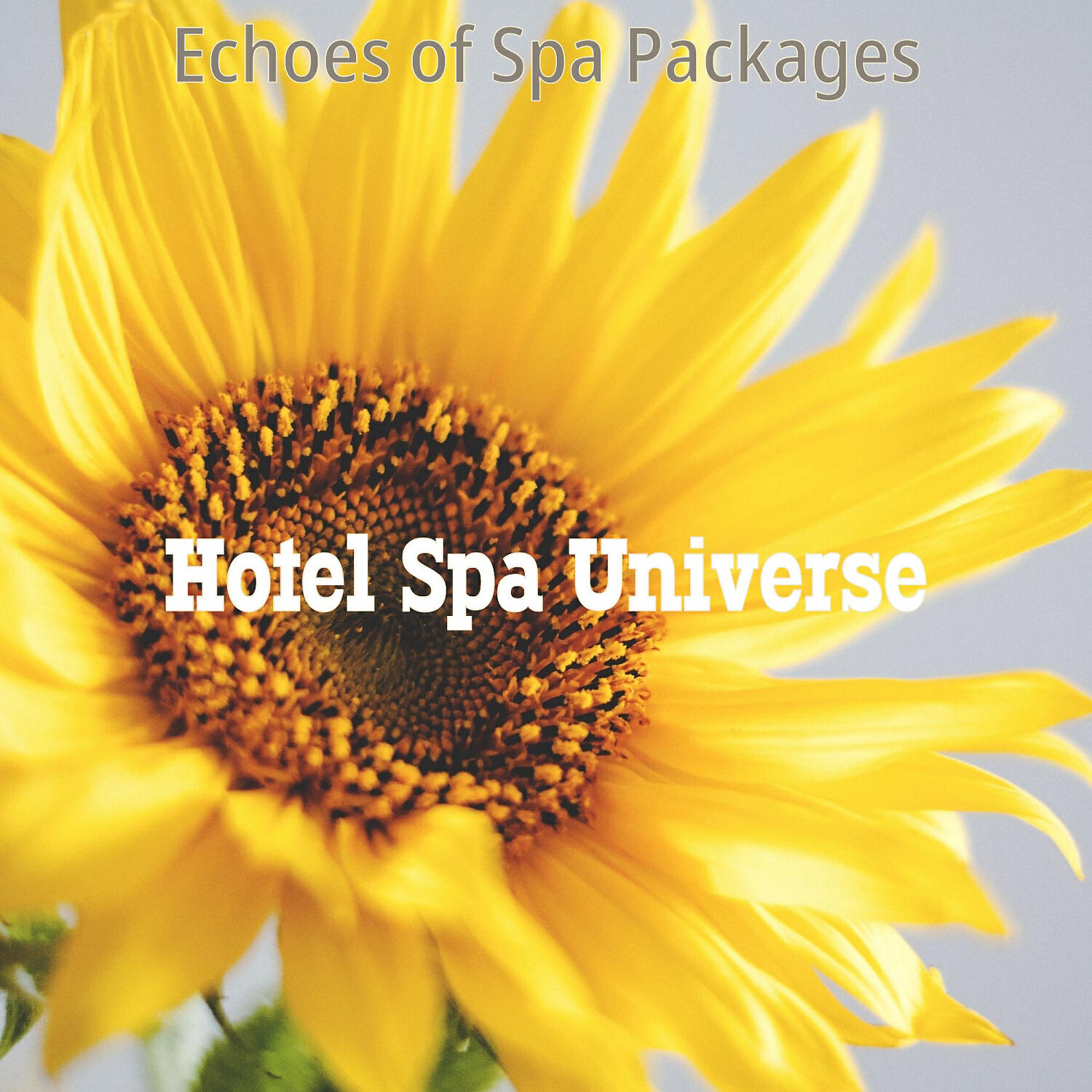 Hotel Spa Universe - Fiery Ambiance for Weekend Spa Treatments