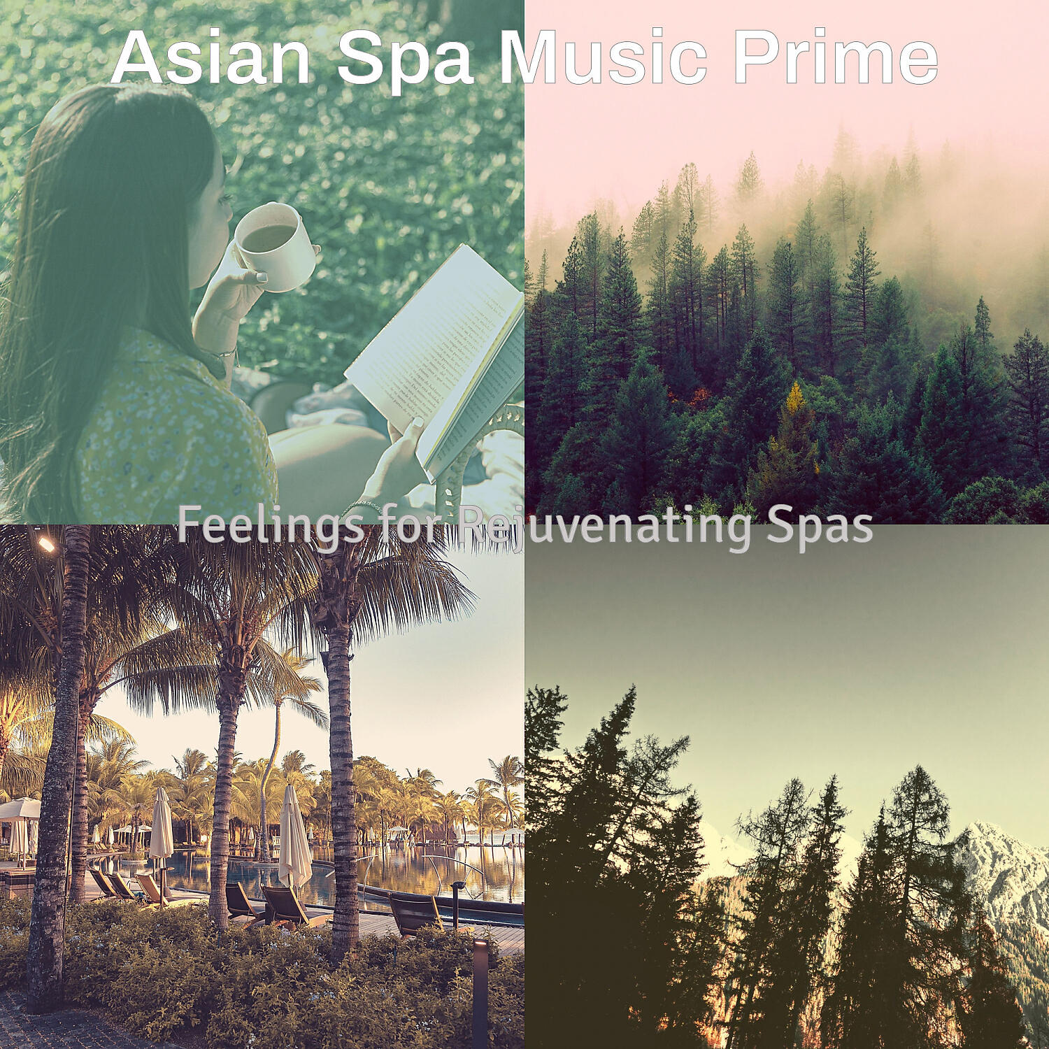 Asian Spa Music Prime - Magical Koto and Strings - Vibe for Spa Hours