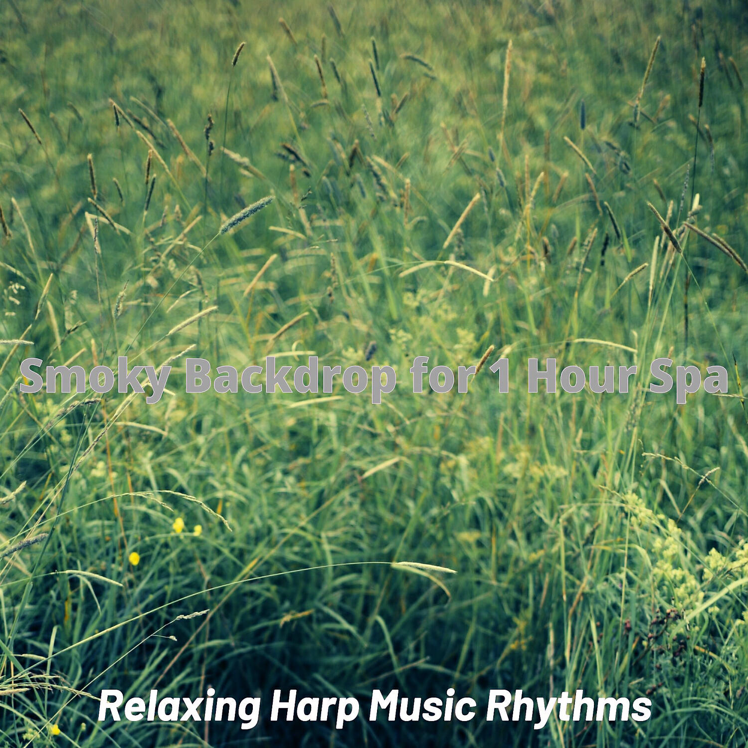 Relaxing Harp Music Rhythms - Inspiring Music for Binaural Focus