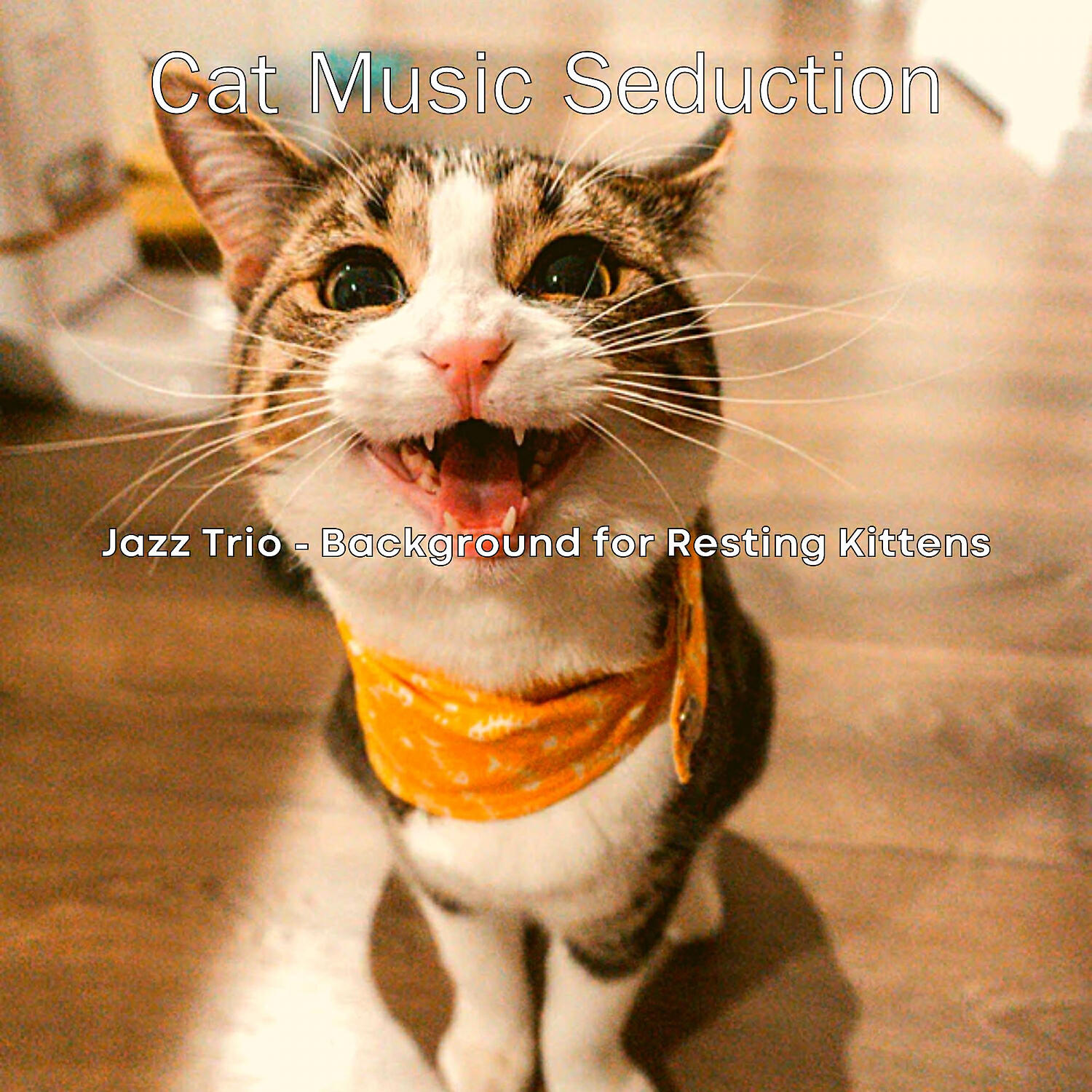 Cat Music Seduction - Trio Jazz Soundtrack for Resting Kittens