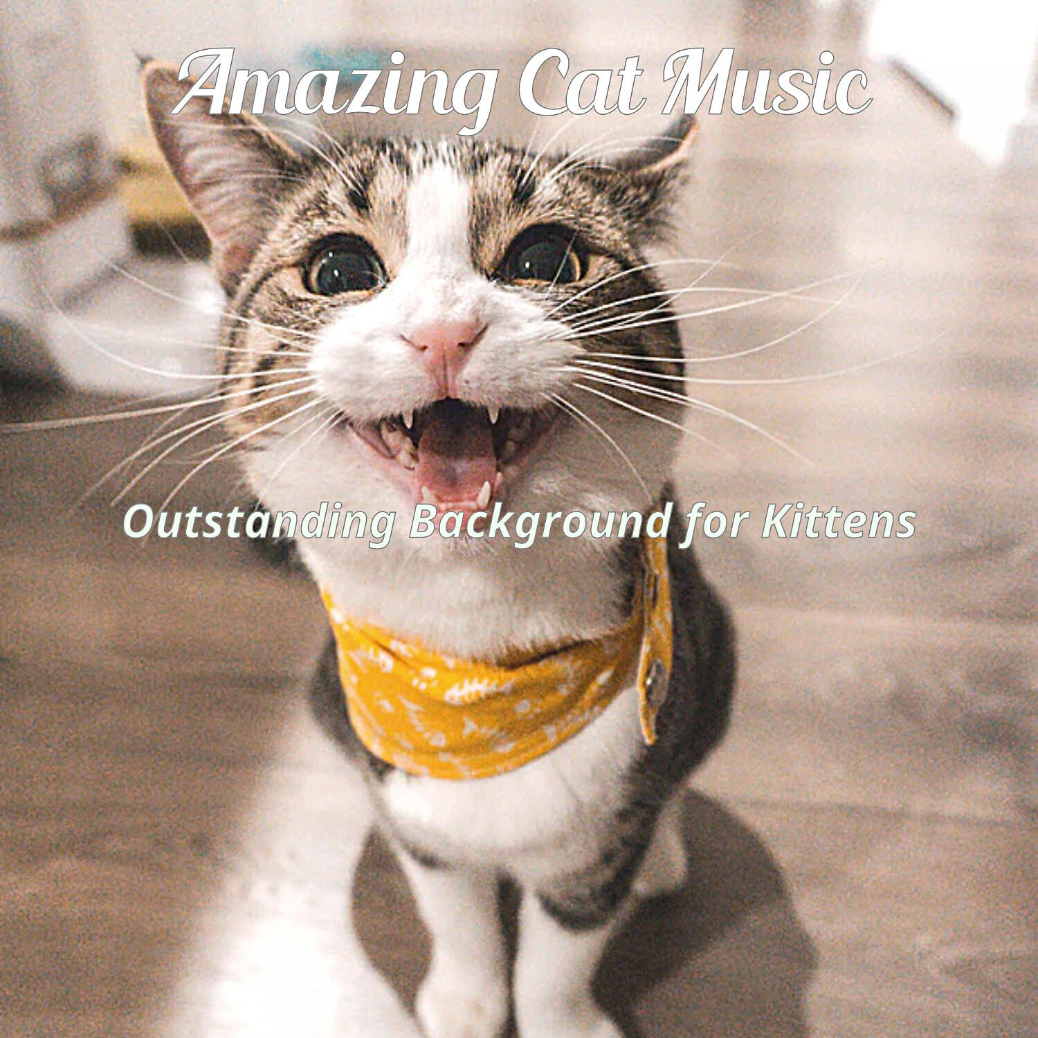 Amazing Cat Music - Unique Music for Training Your Cat