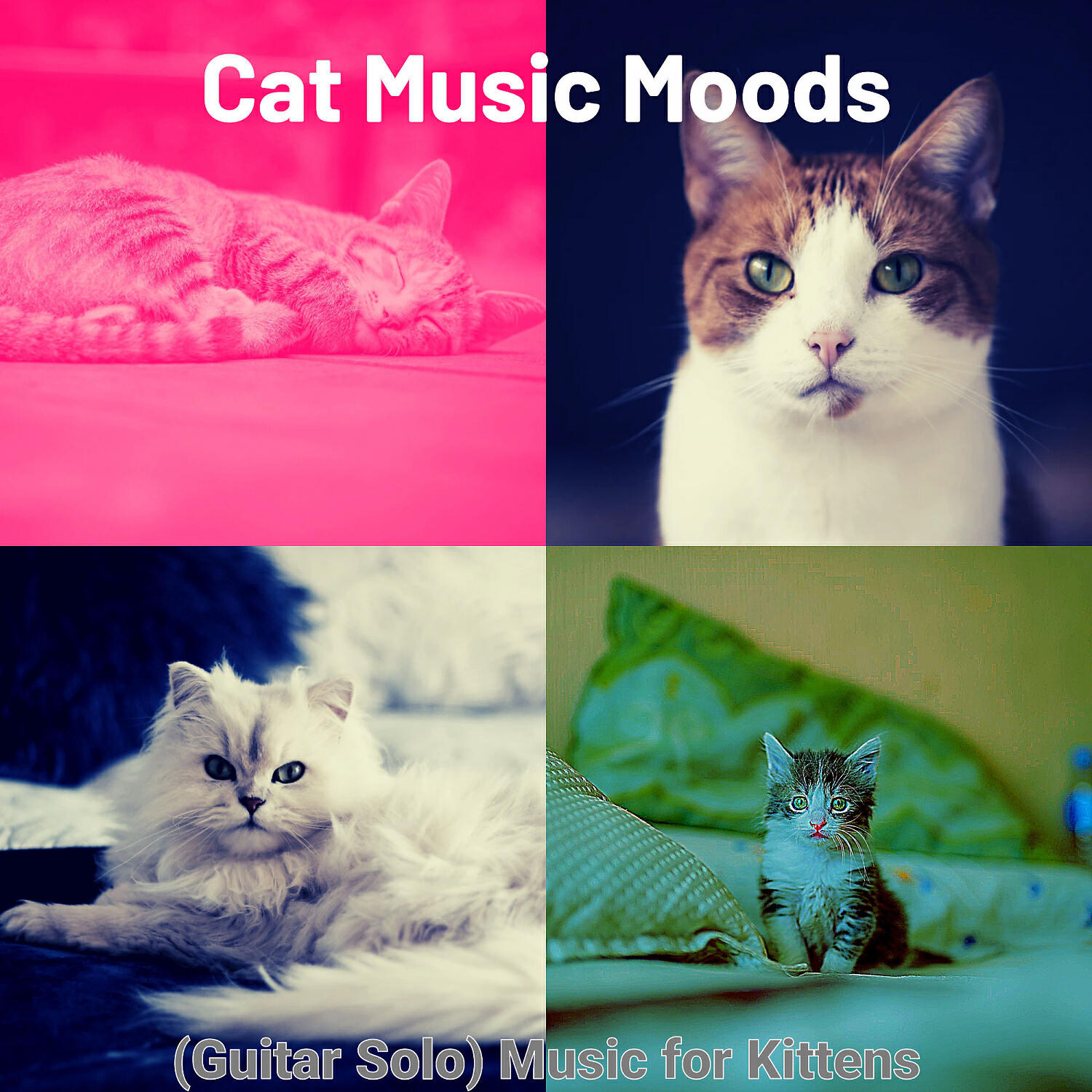 Cat Music Moods - Spacious Moods for Kittens