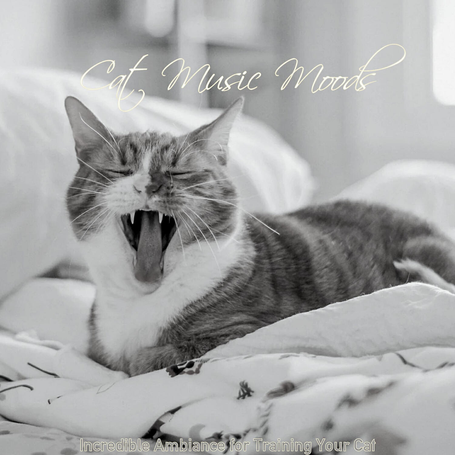 Cat Music Moods - Wonderful Jazz Guitar Trio - Vibe for Cute Cats