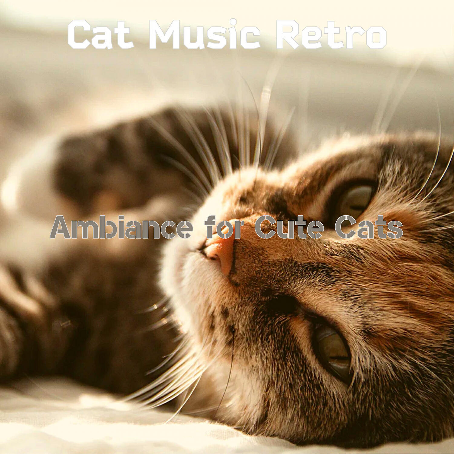 Cat Music Retro - Excellent Music for Kittens
