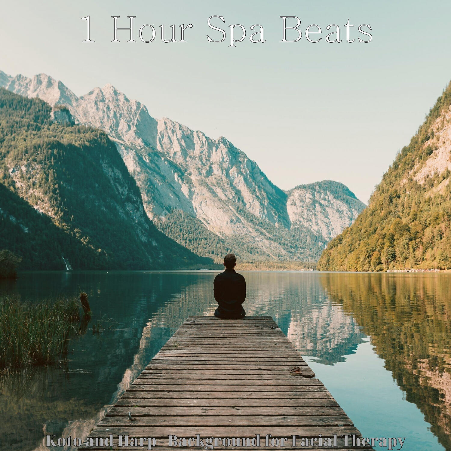 1 Hour Spa Beats - Relaxing Koto and Strings - Vibe for Purifying Massage