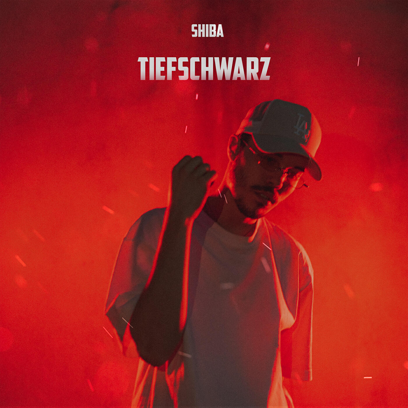 Shiba - Tiefschwarz