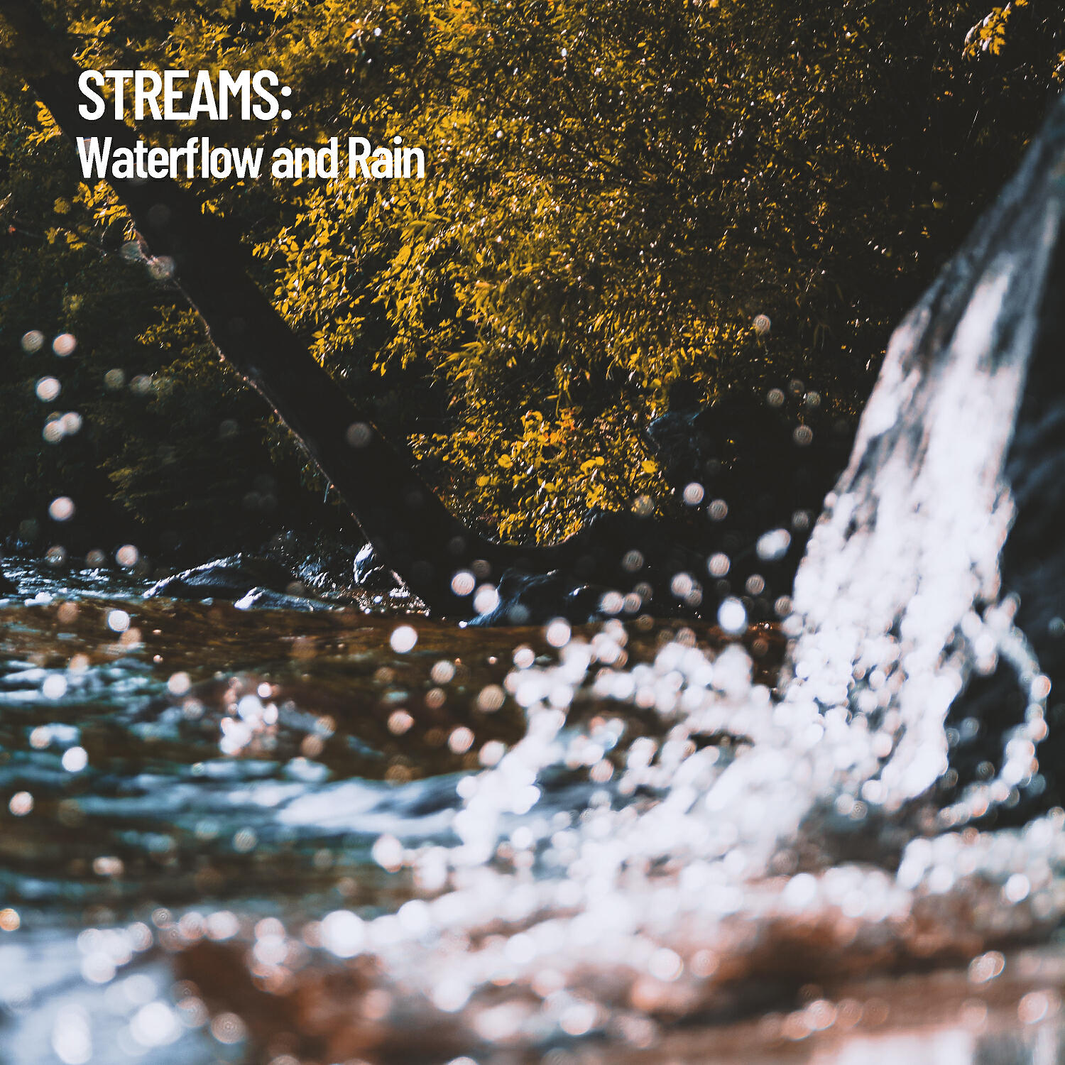 Water Science - Perfect Rain