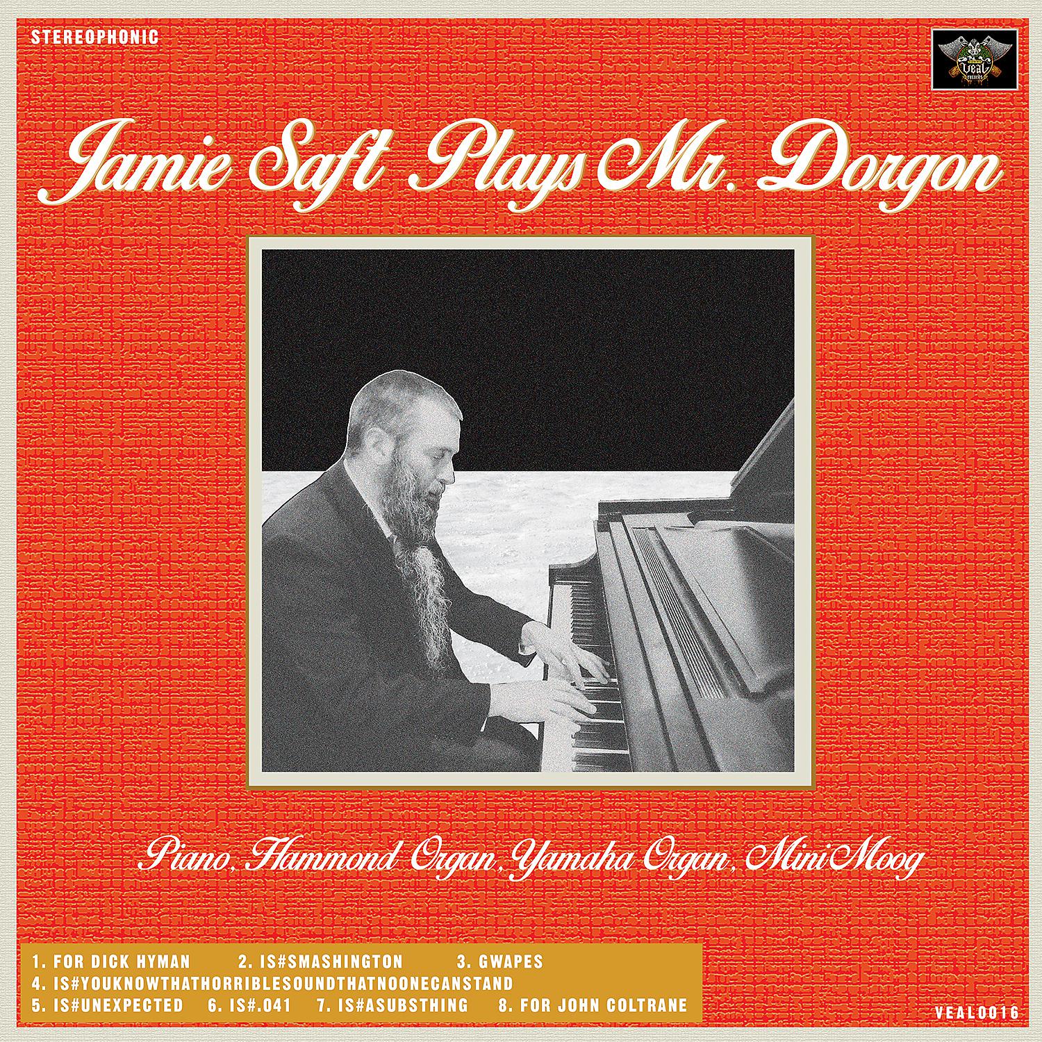 Постер альбома Jamie Saft Plays Mr. Dorgon