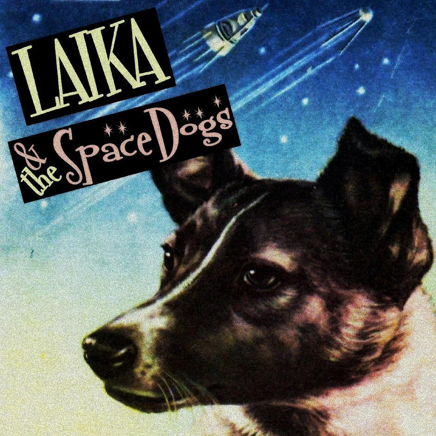 Laika & The Space Dogs - Moonwalk