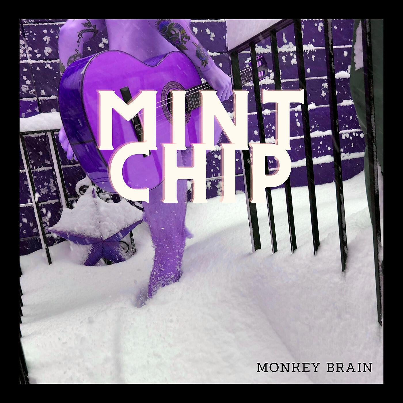 Monkey Brain - Whisper