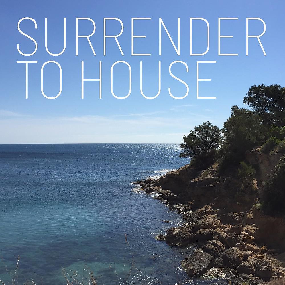Постер альбома Surrender to House
