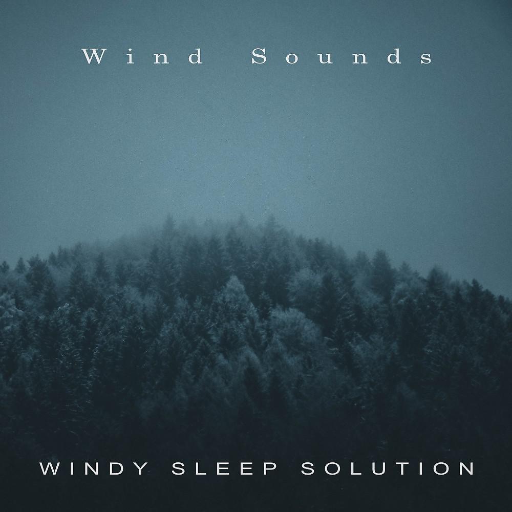 Постер альбома Windy Sleep Solution